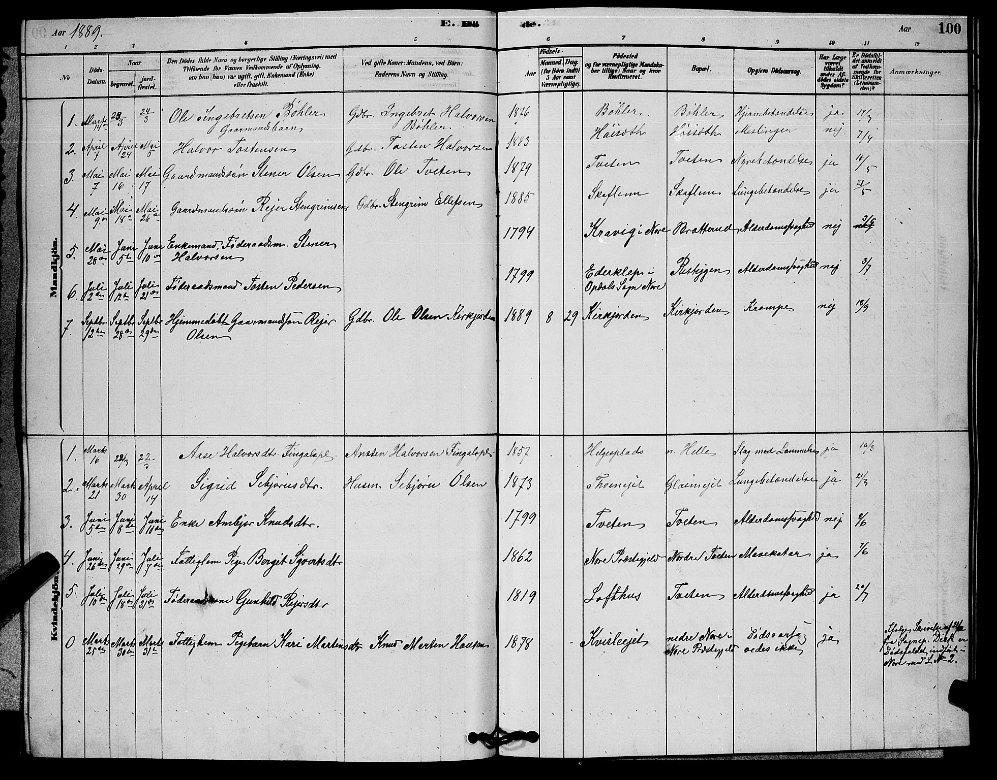Rollag kirkebøker, SAKO/A-240/G/Gb/L0002: Parish register (copy) no. II 2, 1878-1898, p. 100