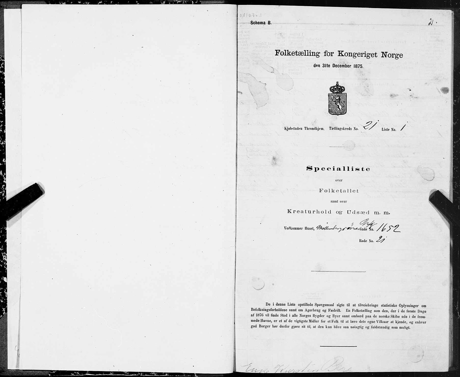 SAT, 1875 census for 1601 Trondheim, 1875, p. 11002