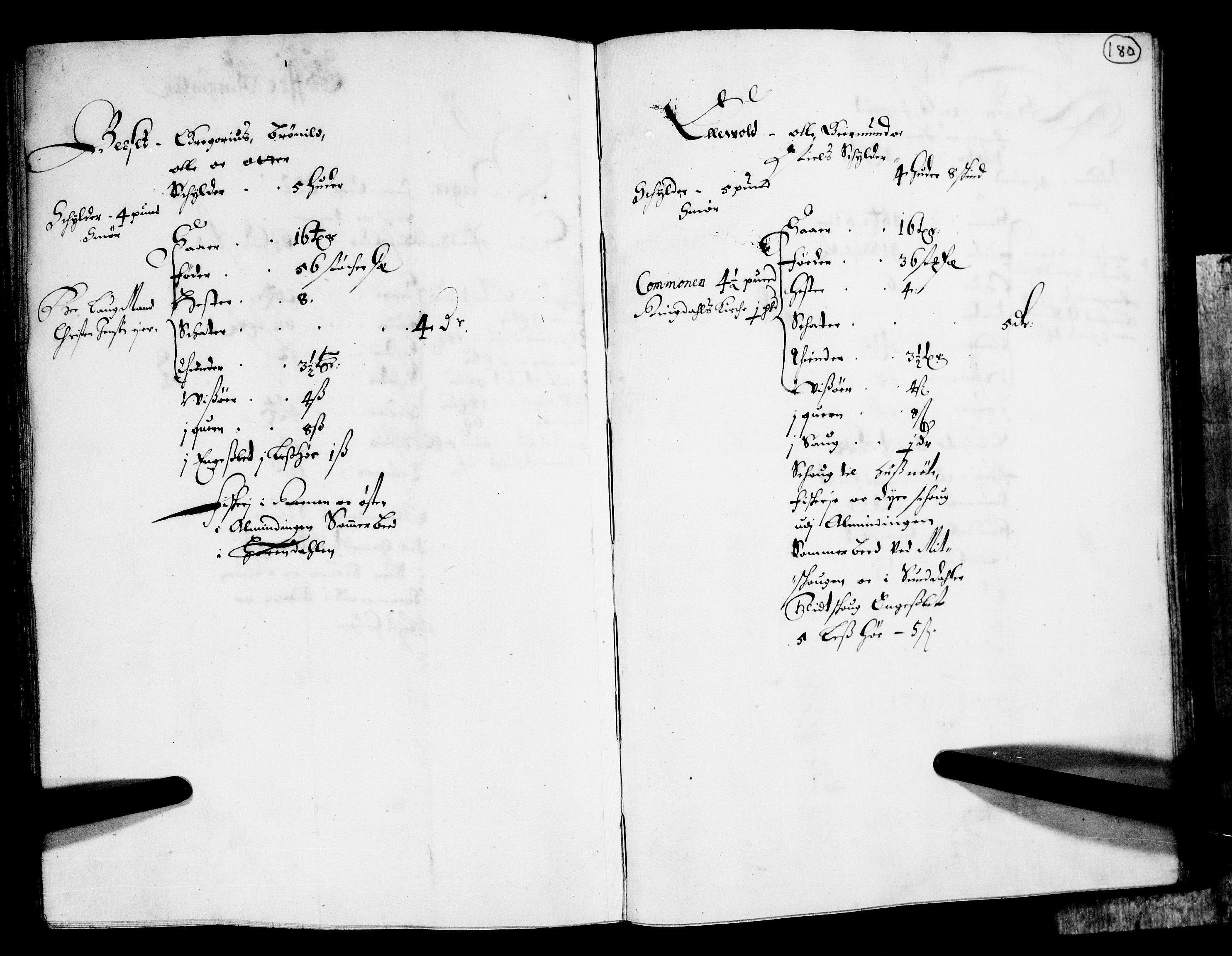 Rentekammeret inntil 1814, Realistisk ordnet avdeling, RA/EA-4070/N/Nb/Nba/L0011: Odal, Solør og Østerdalen fogderi, 1667, p. 179b-180a