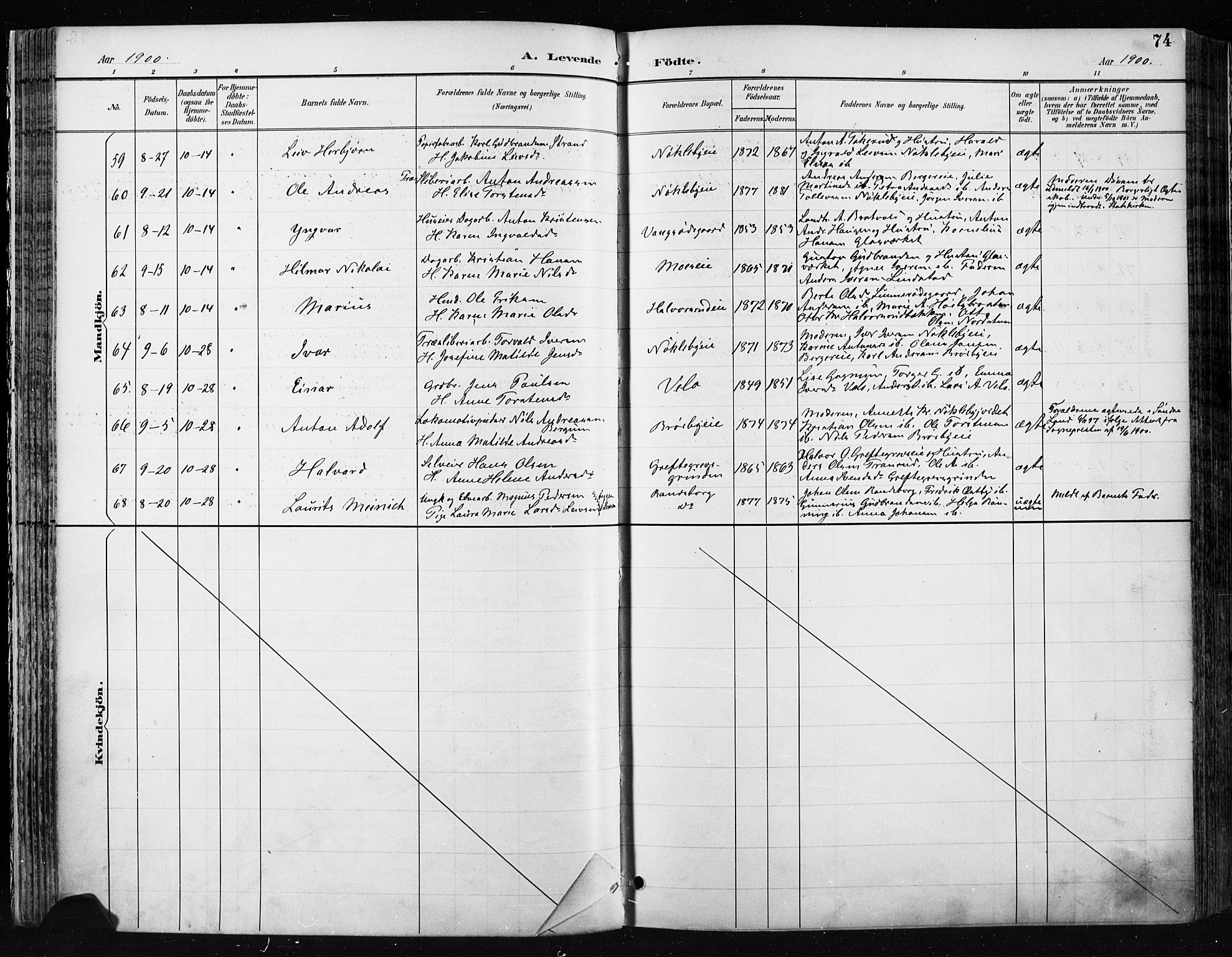 Jevnaker prestekontor, SAH/PREST-116/H/Ha/Haa/L0009: Parish register (official) no. 9, 1891-1901, p. 74
