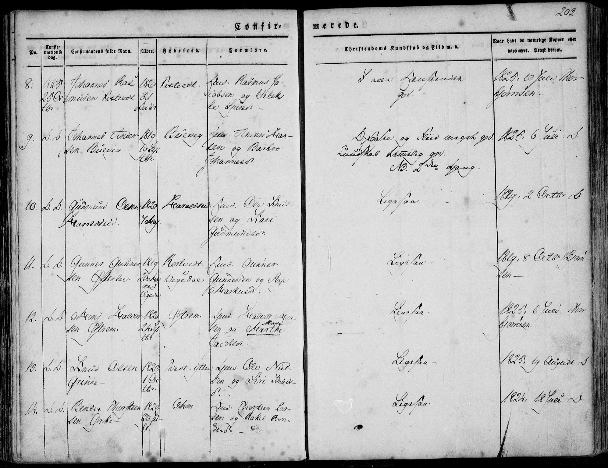 Skjold sokneprestkontor, AV/SAST-A-101847/H/Ha/Haa/L0006: Parish register (official) no. A 6.1, 1835-1858, p. 203