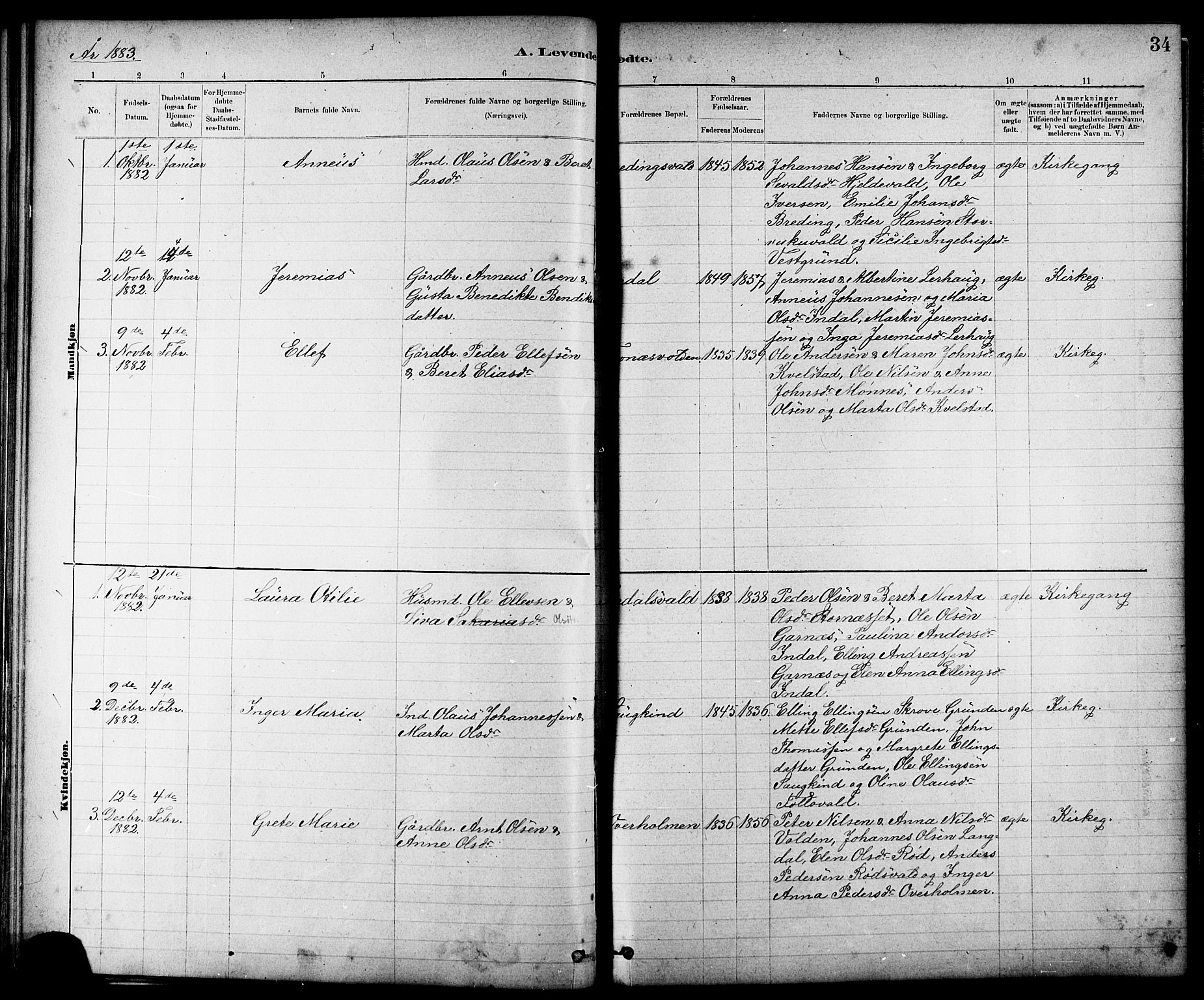 Ministerialprotokoller, klokkerbøker og fødselsregistre - Nord-Trøndelag, SAT/A-1458/724/L0267: Parish register (copy) no. 724C03, 1879-1898, p. 34