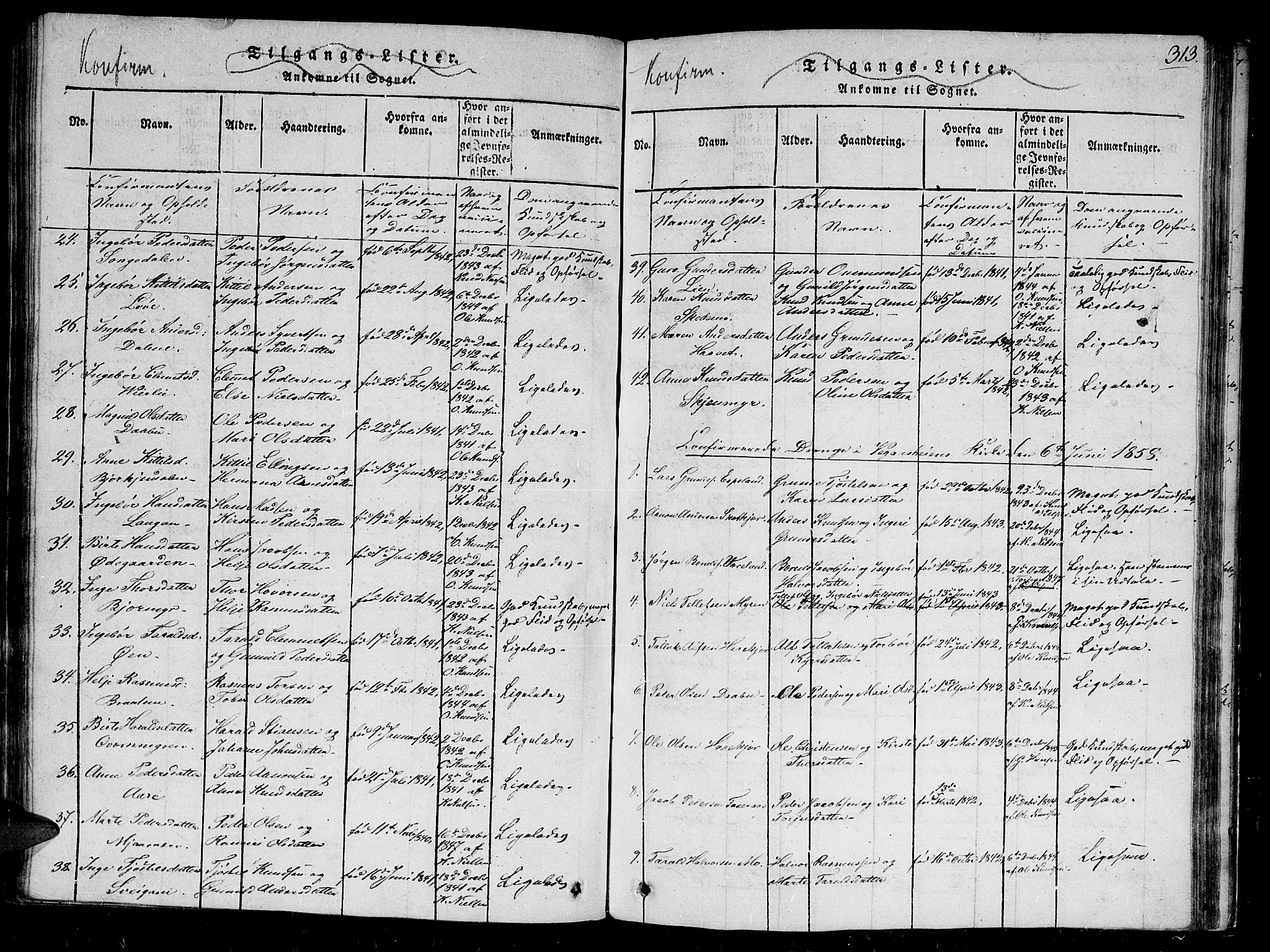 Gjerstad sokneprestkontor, AV/SAK-1111-0014/F/Fb/Fbb/L0001: Parish register (copy) no. B 1, 1813-1863, p. 313