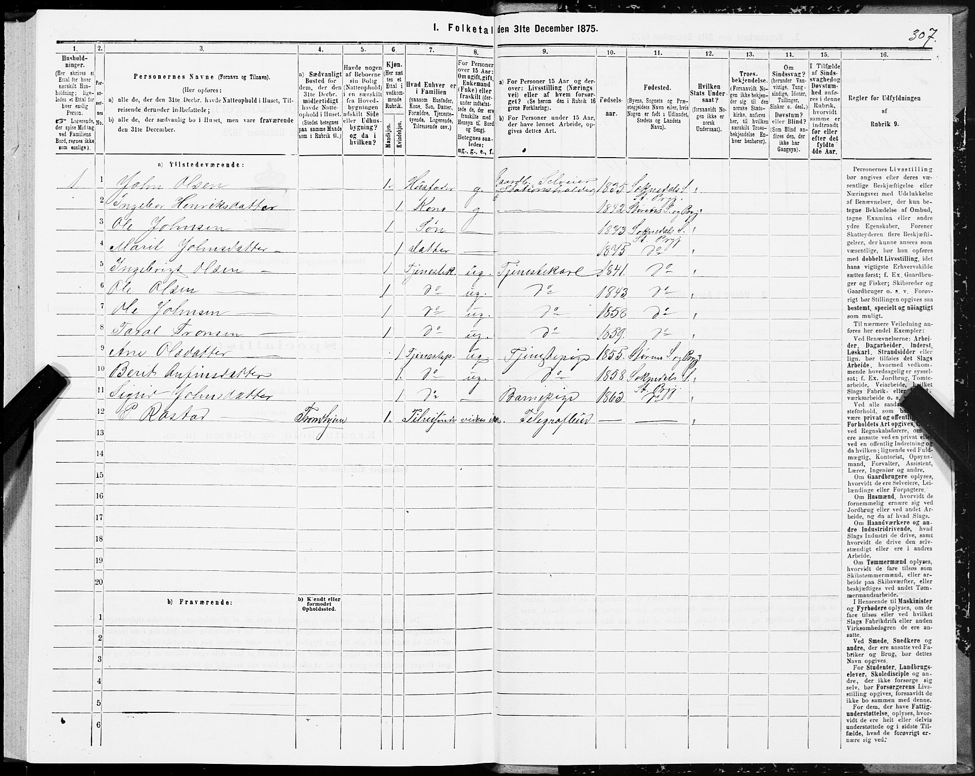 SAT, 1875 census for 1648P Støren, 1875, p. 7307