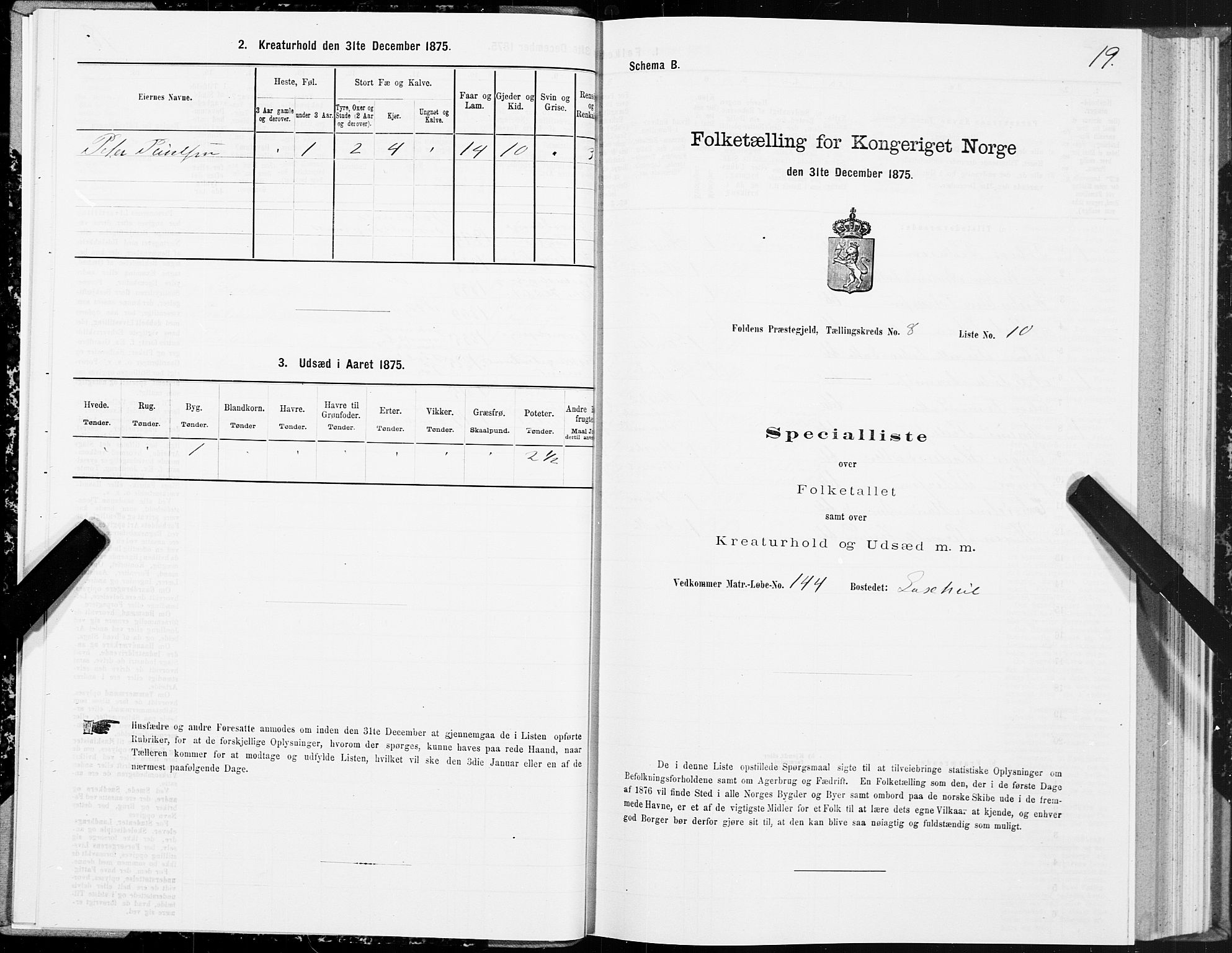 SAT, 1875 census for 1845P Folda, 1875, p. 3019