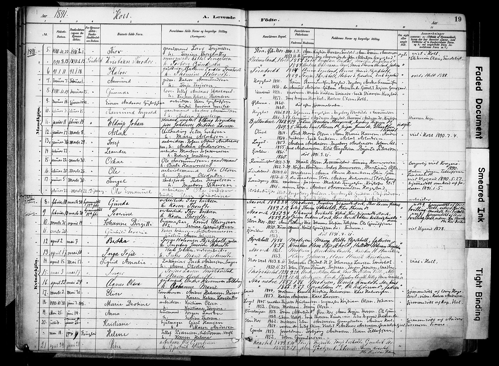 Holt sokneprestkontor, SAK/1111-0021/F/Fa/L0012: Parish register (official) no. A 12, 1885-1907, p. 19