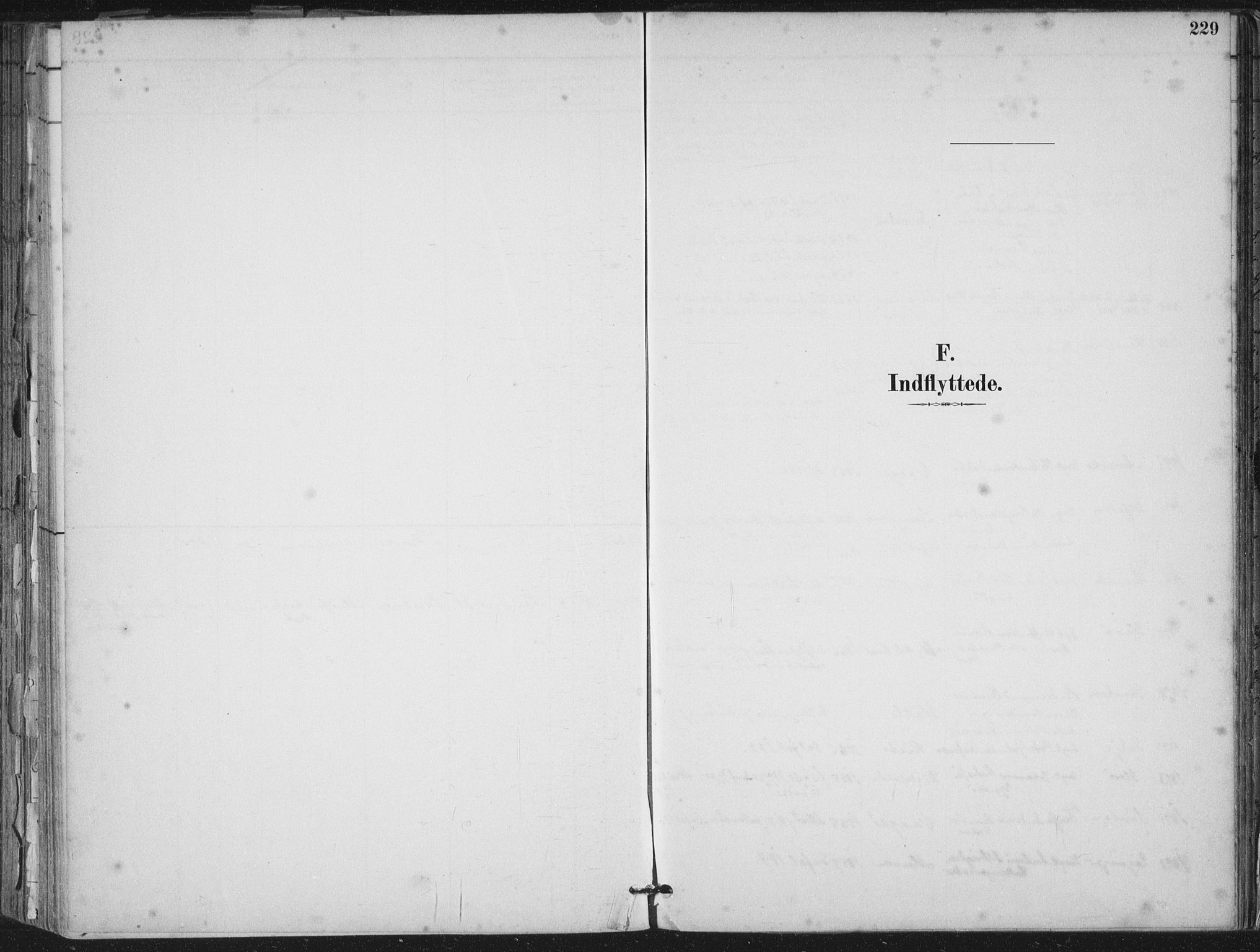 Ministerialprotokoller, klokkerbøker og fødselsregistre - Møre og Romsdal, AV/SAT-A-1454/503/L0037: Parish register (official) no. 503A05, 1884-1900, p. 229