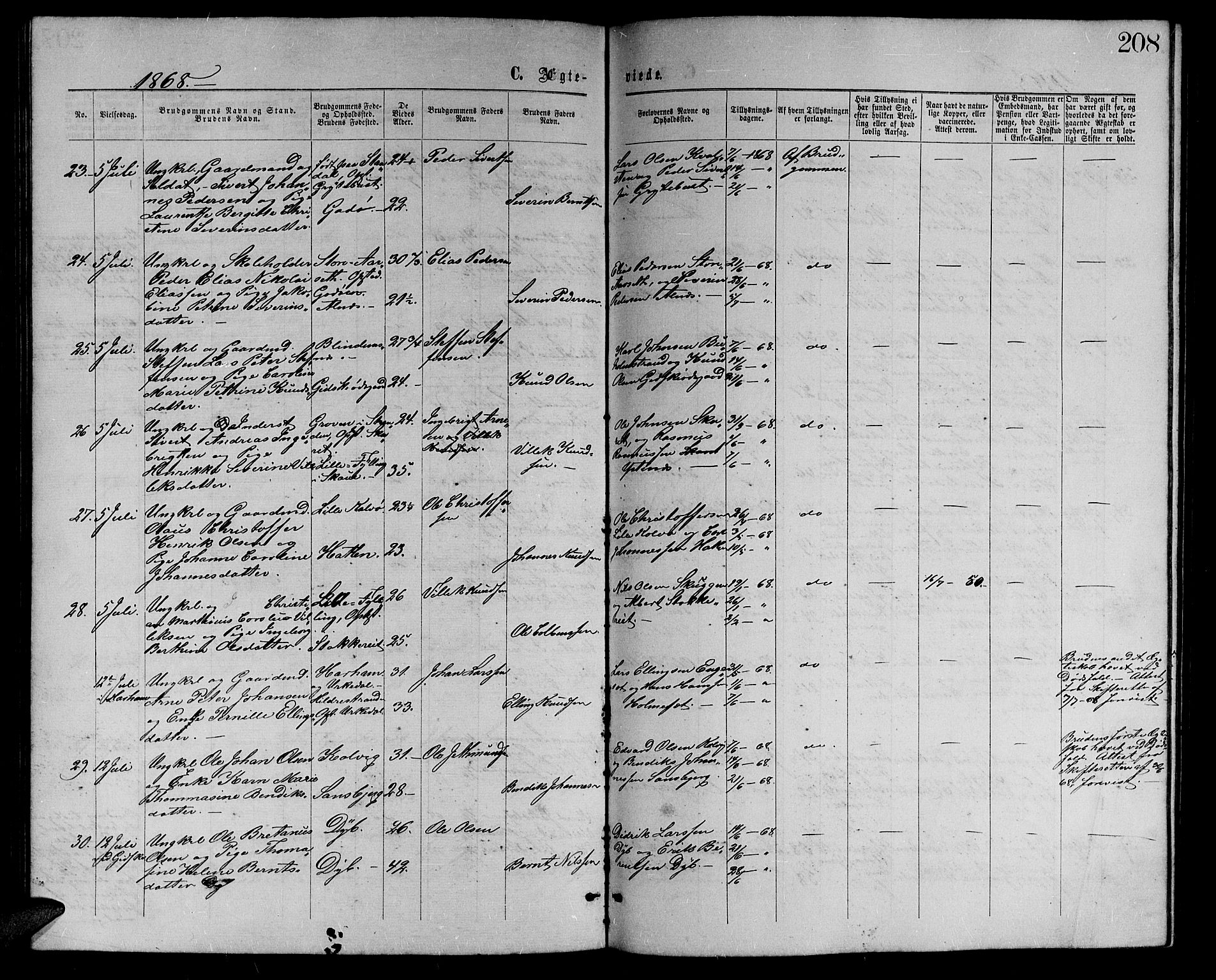 Ministerialprotokoller, klokkerbøker og fødselsregistre - Møre og Romsdal, AV/SAT-A-1454/528/L0428: Parish register (copy) no. 528C09, 1864-1880, p. 208