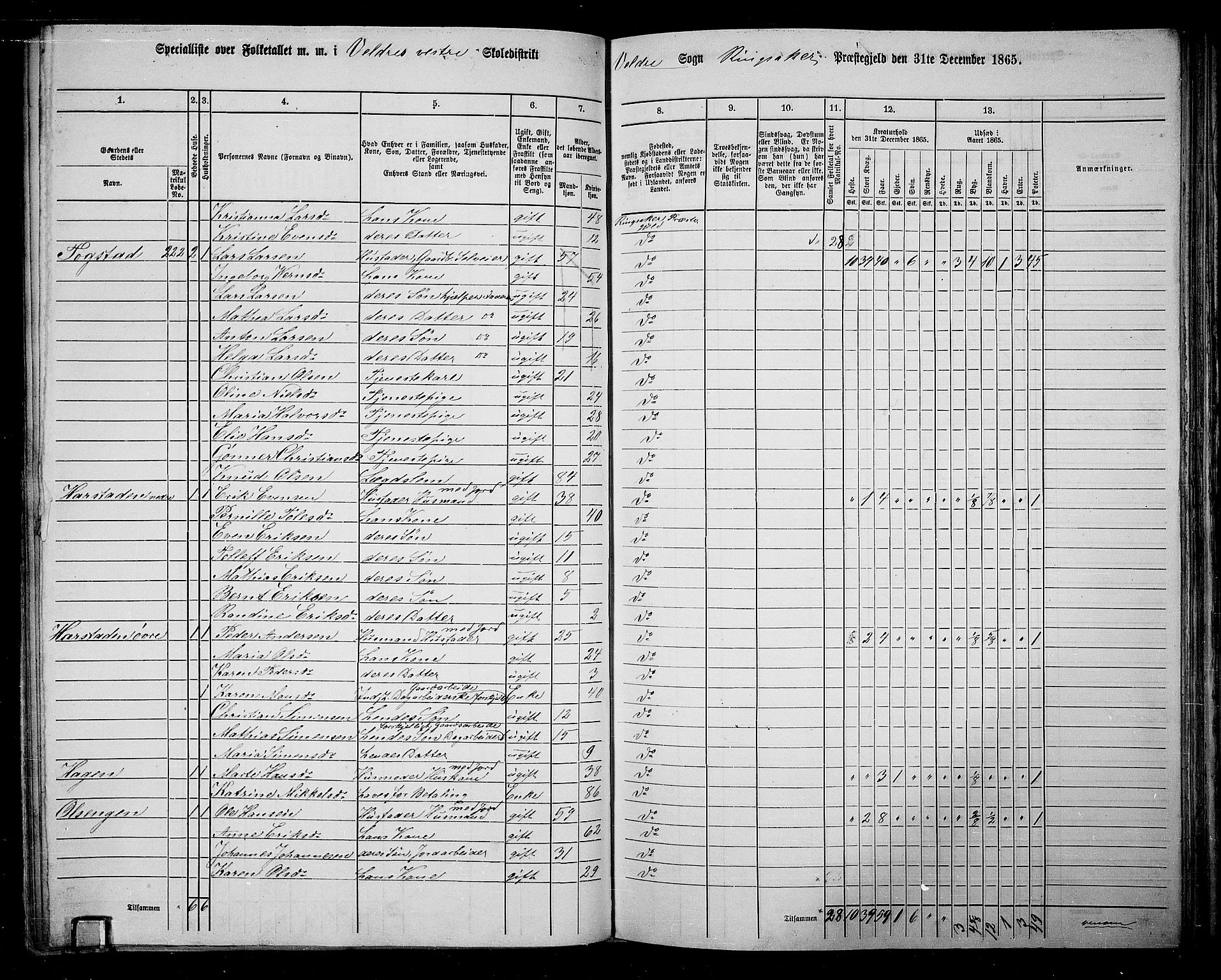 RA, 1865 census for Ringsaker, 1865, p. 167