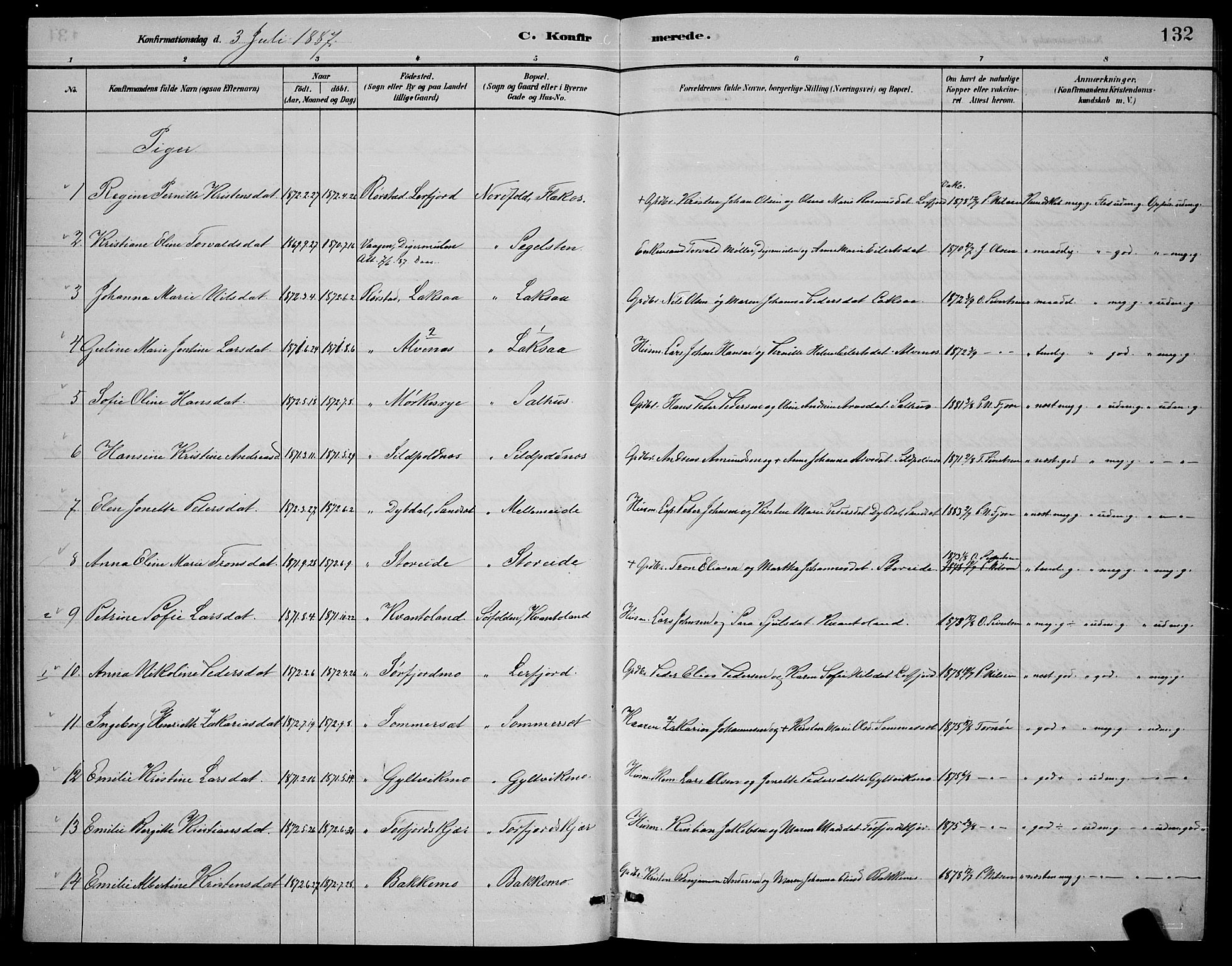 Ministerialprotokoller, klokkerbøker og fødselsregistre - Nordland, AV/SAT-A-1459/853/L0772: Parish register (official) no. 853A11, 1881-1900, p. 132