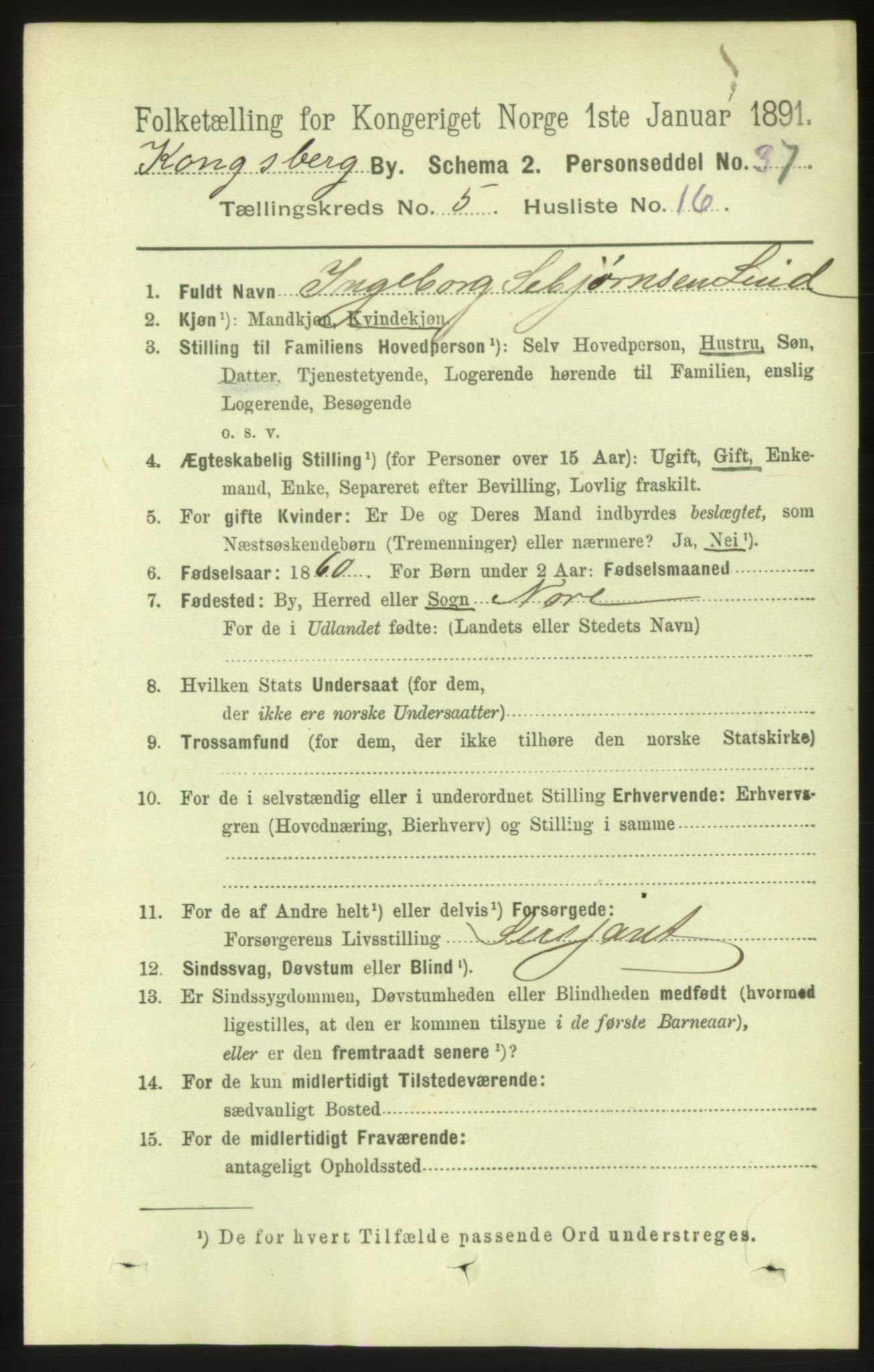 RA, 1891 census for 0604 Kongsberg, 1891, p. 4352