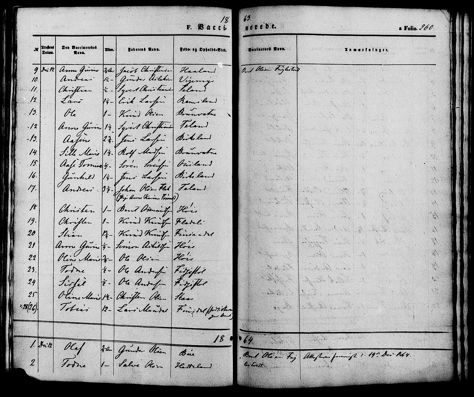 Holum sokneprestkontor, SAK/1111-0022/F/Fa/Fac/L0003: Parish register (official) no. A 3, 1860-1883, p. 260