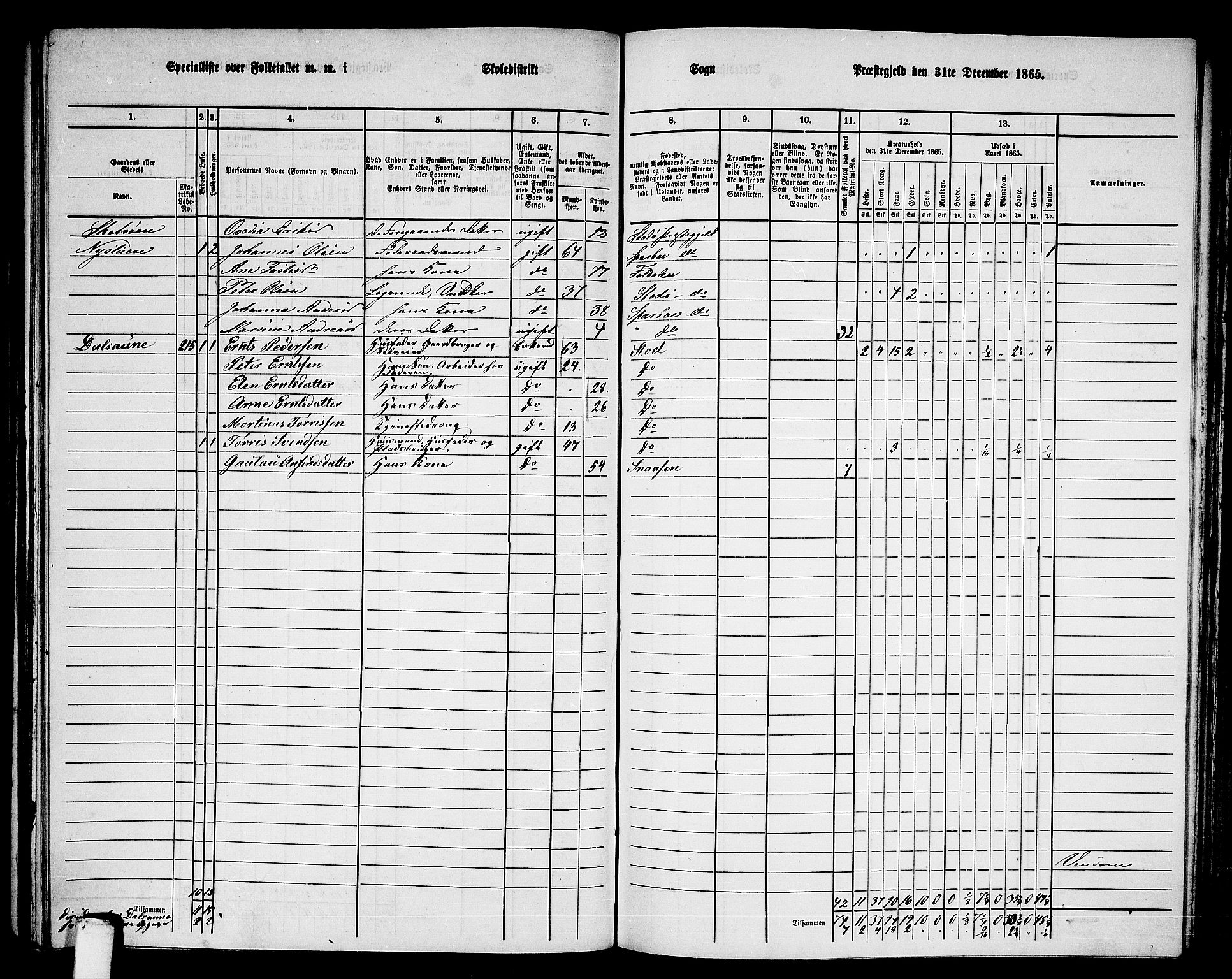 RA, 1865 census for Stod, 1865, p. 123