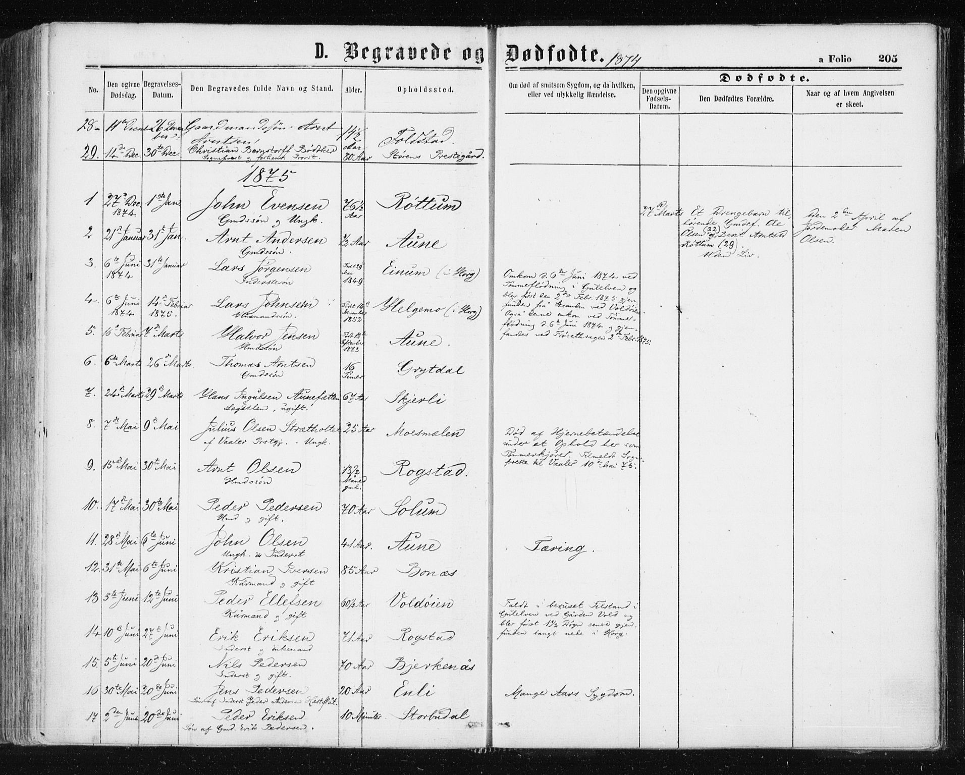 Ministerialprotokoller, klokkerbøker og fødselsregistre - Sør-Trøndelag, AV/SAT-A-1456/687/L1001: Parish register (official) no. 687A07, 1863-1878, p. 205