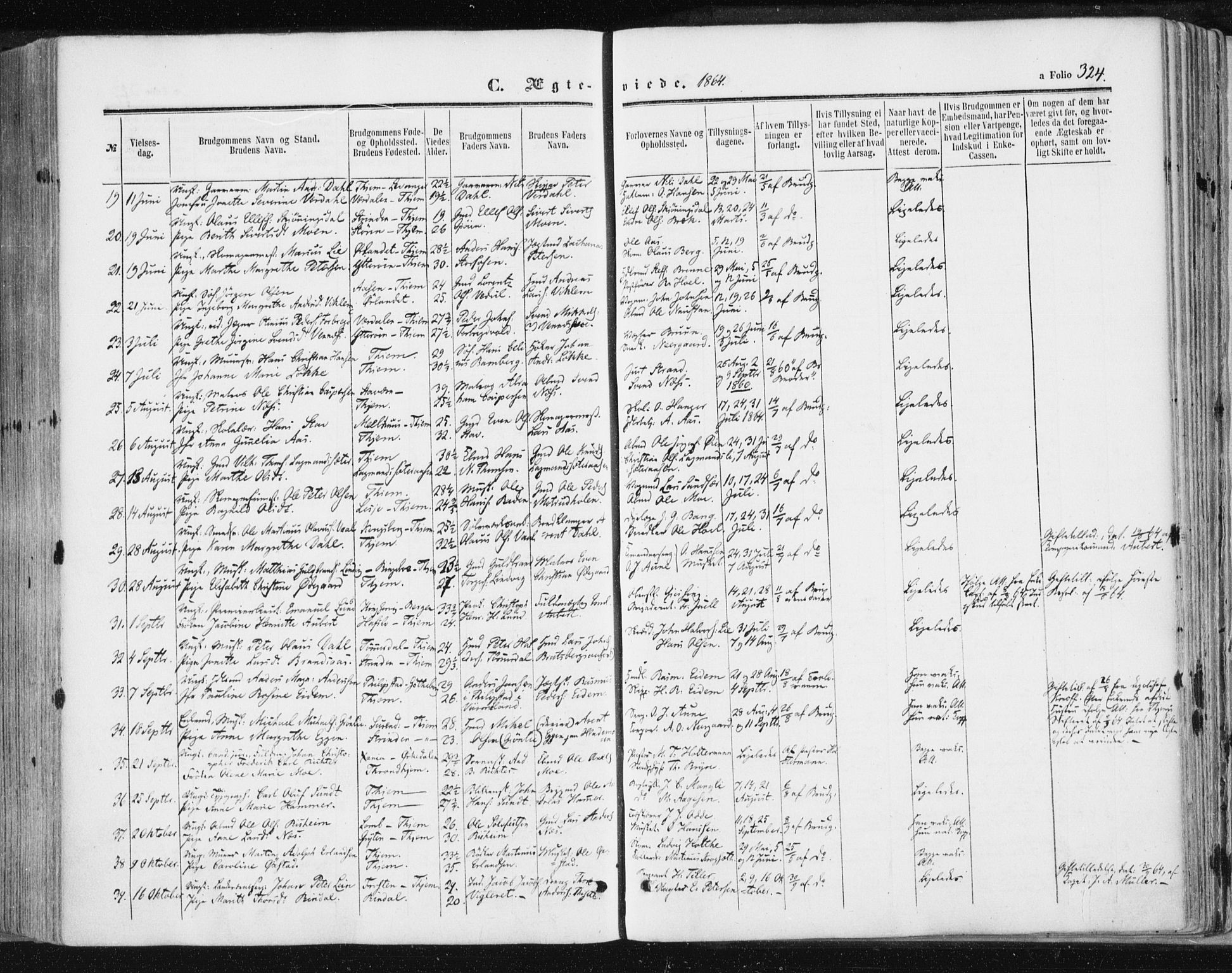 Ministerialprotokoller, klokkerbøker og fødselsregistre - Sør-Trøndelag, SAT/A-1456/602/L0115: Parish register (official) no. 602A13, 1860-1872, p. 324