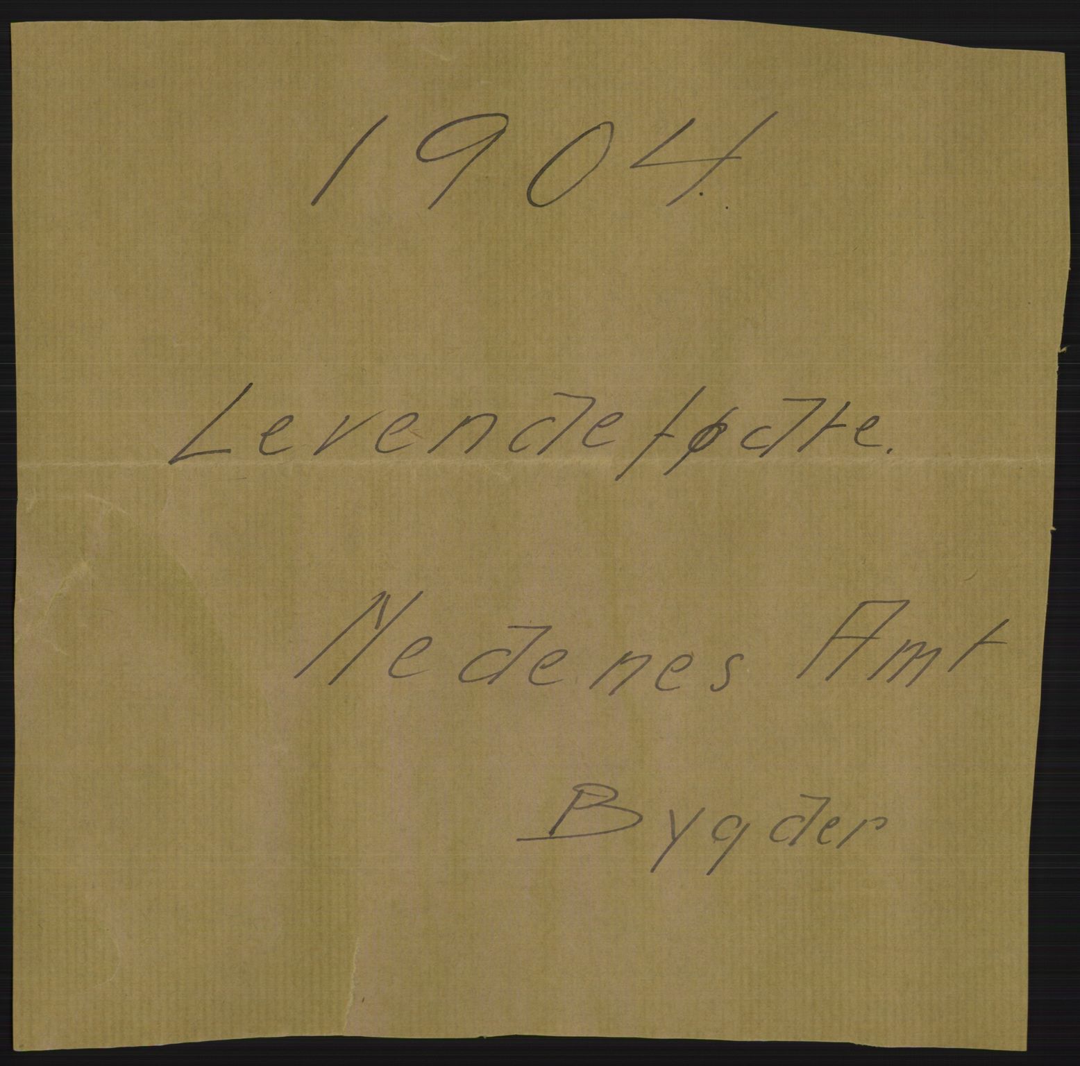 Statistisk sentralbyrå, Sosiodemografiske emner, Befolkning, AV/RA-S-2228/D/Df/Dfa/Dfab/L0010: Nedenes amt: Fødte, gifte, døde, 1904, p. 1