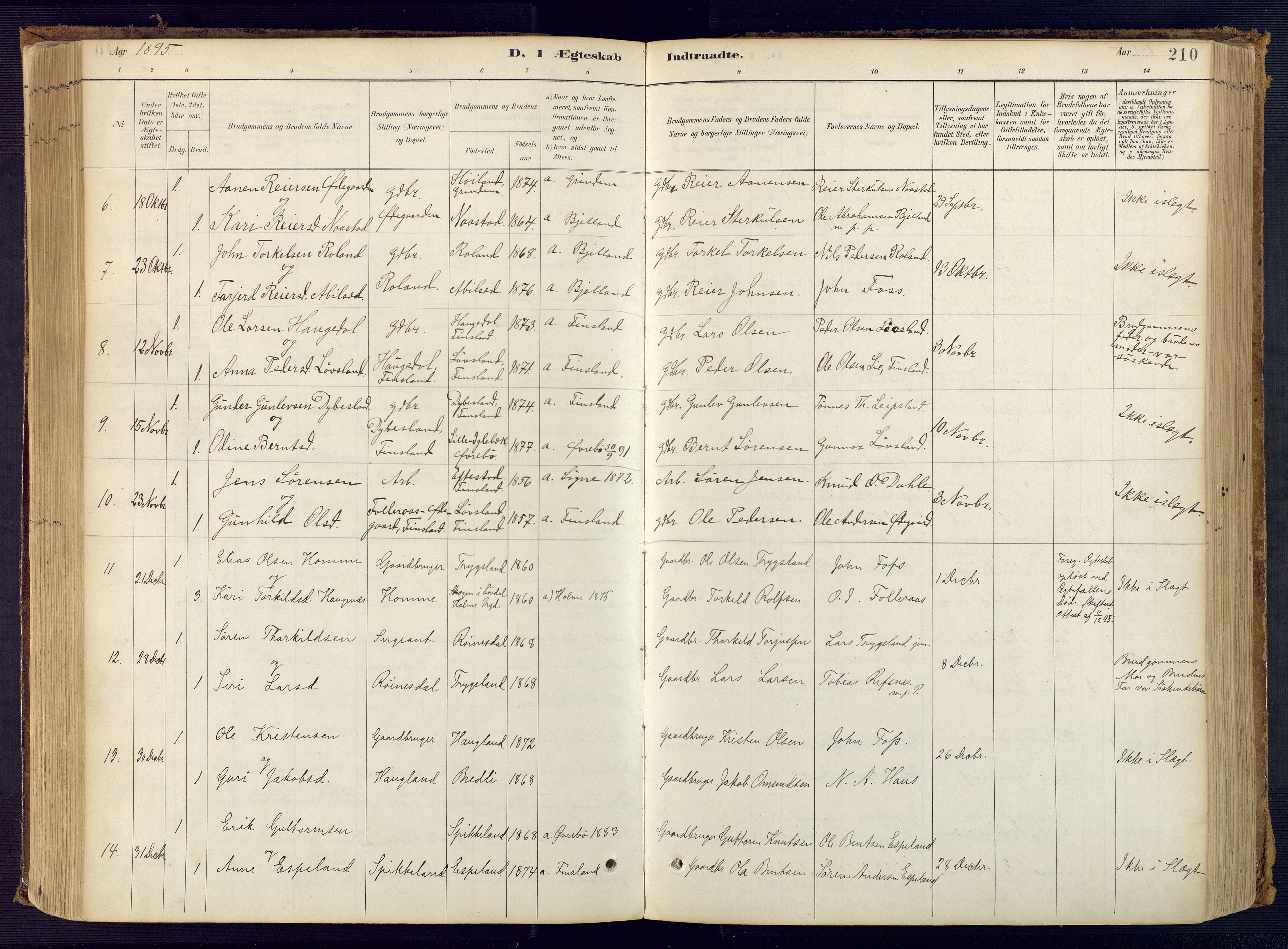 Bjelland sokneprestkontor, SAK/1111-0005/F/Fa/Faa/L0004: Parish register (official) no. A 4, 1887-1923, p. 210
