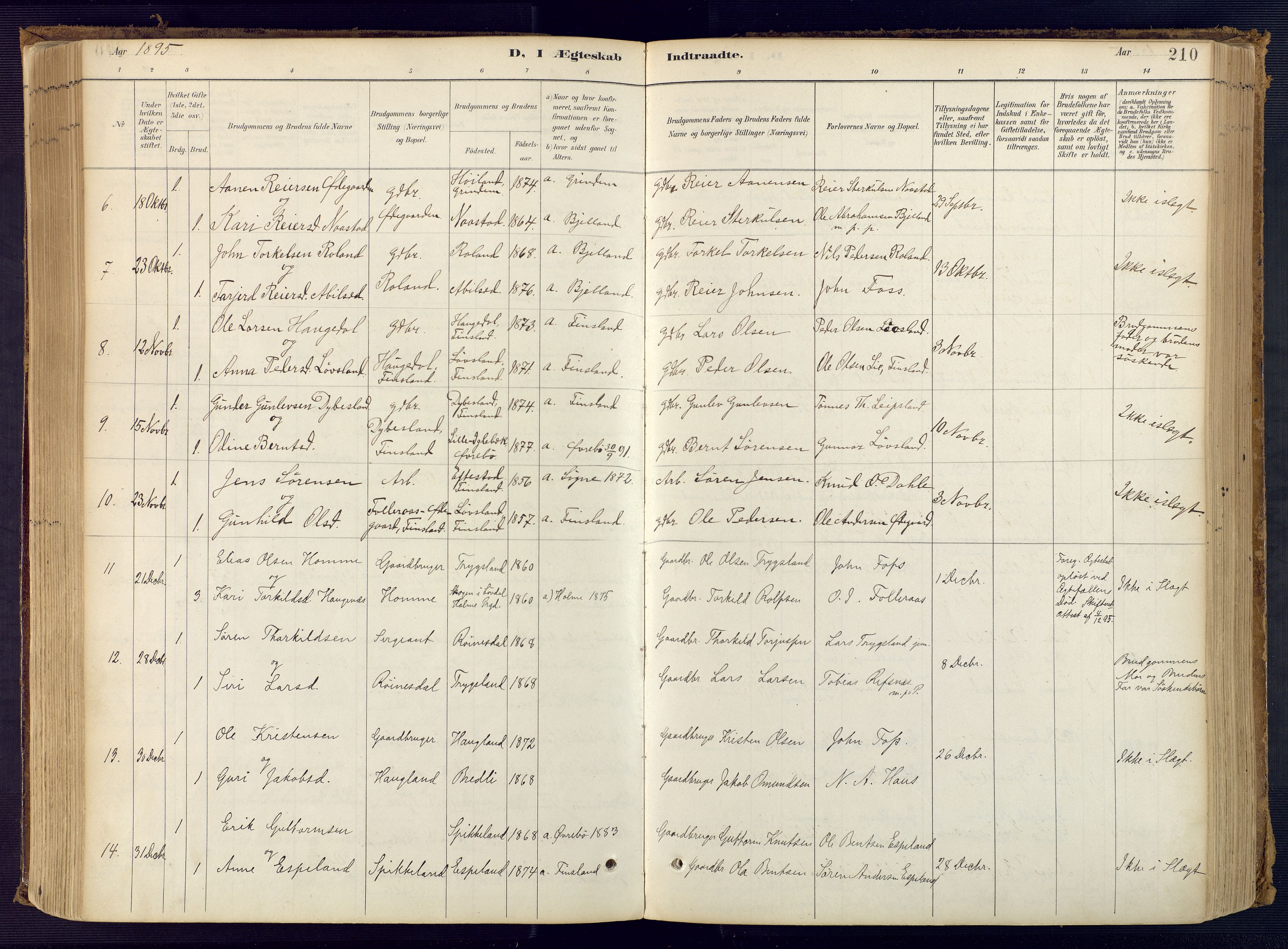 Bjelland sokneprestkontor, AV/SAK-1111-0005/F/Fa/Faa/L0004: Parish register (official) no. A 4, 1887-1923, p. 210