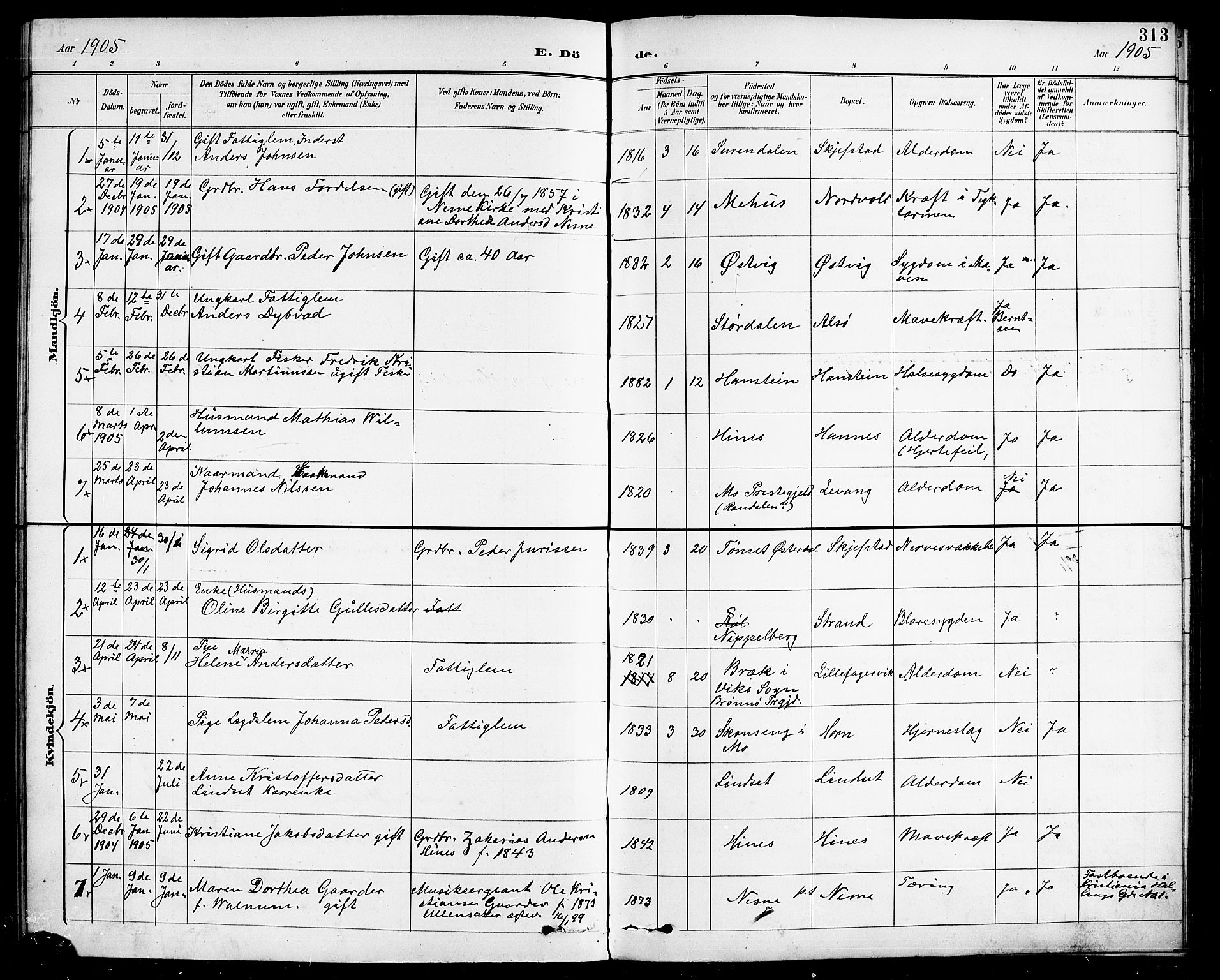 Ministerialprotokoller, klokkerbøker og fødselsregistre - Nordland, AV/SAT-A-1459/838/L0559: Parish register (copy) no. 838C06, 1893-1910, p. 313