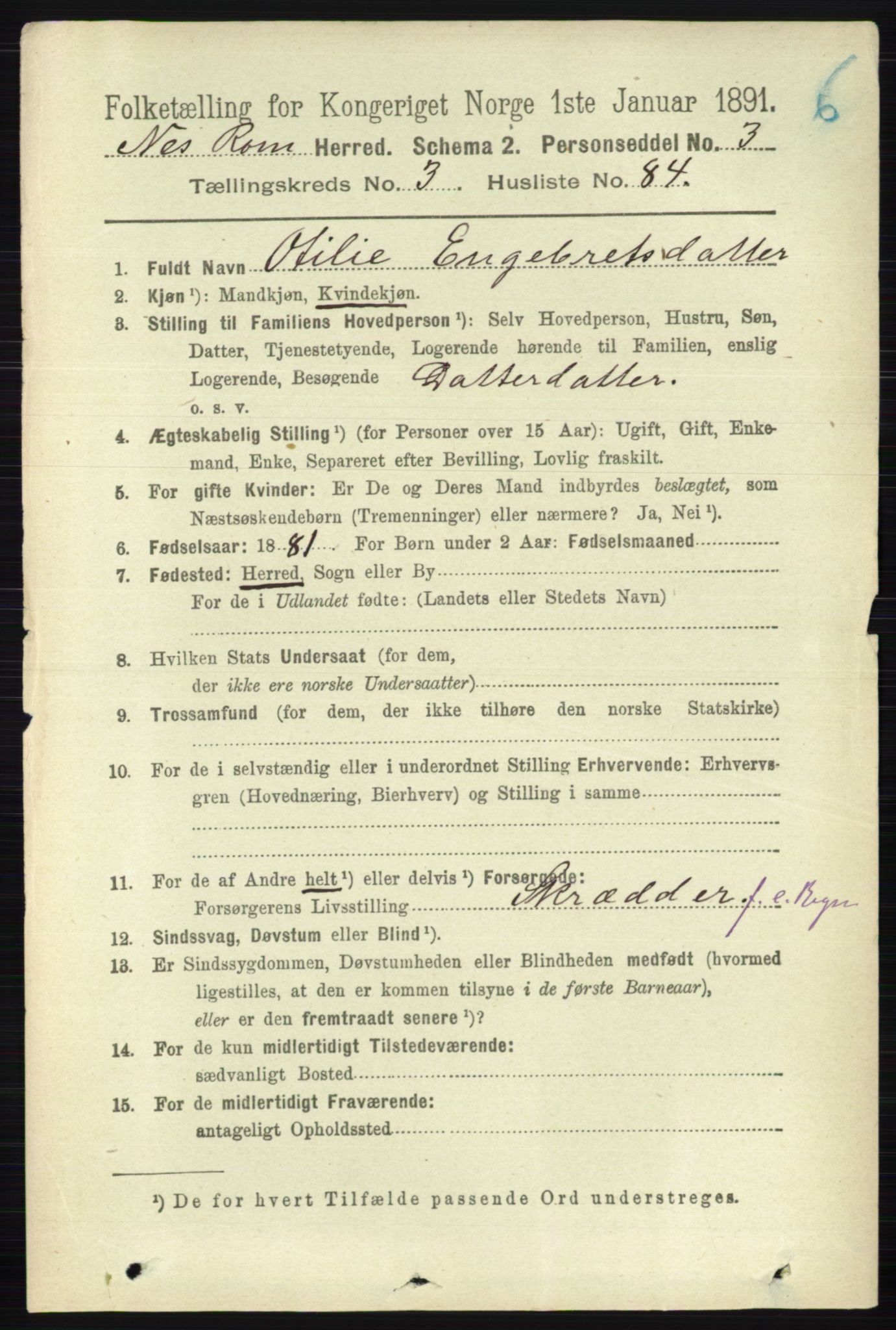 RA, 1891 census for 0236 Nes, 1891, p. 2179