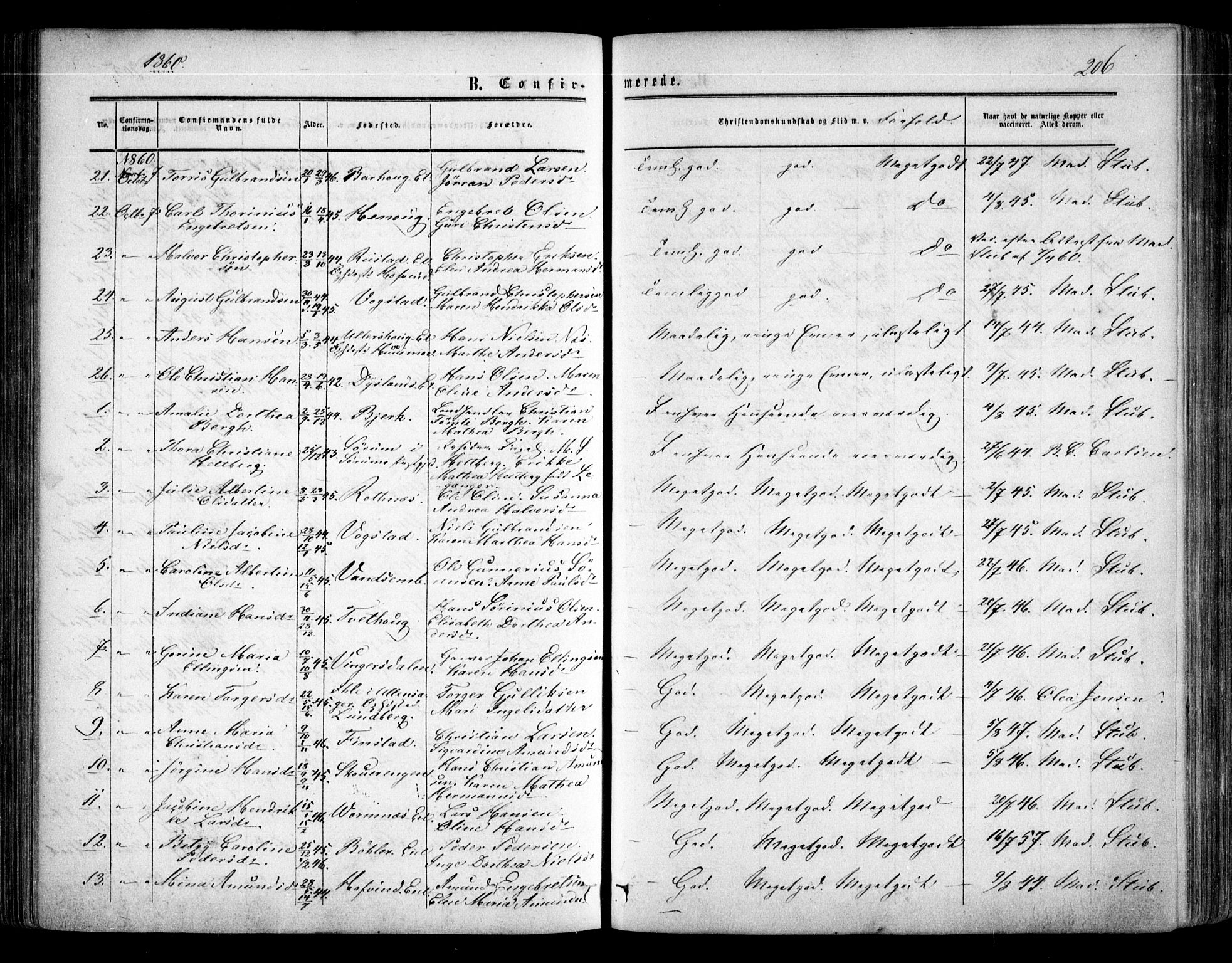 Nes prestekontor Kirkebøker, AV/SAO-A-10410/F/Fa/L0008: Parish register (official) no. I 8, 1859-1874, p. 206