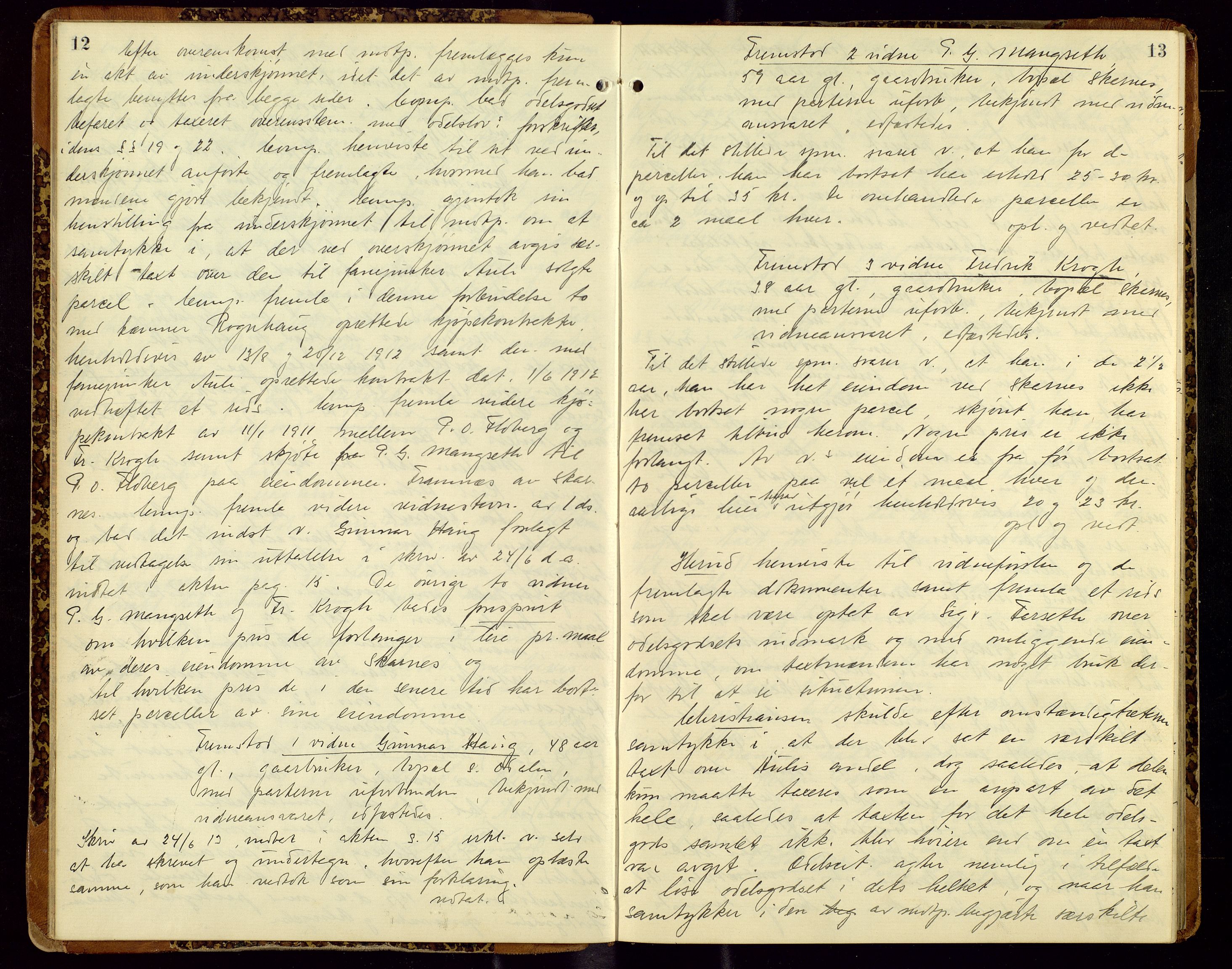 Vinger og Odal sorenskriveri, AV/SAH-TING-022/G/Gc/Gcc/L0007: Åstedsprotokoll - Vinger og Odal, 1913-1917, p. 12-13