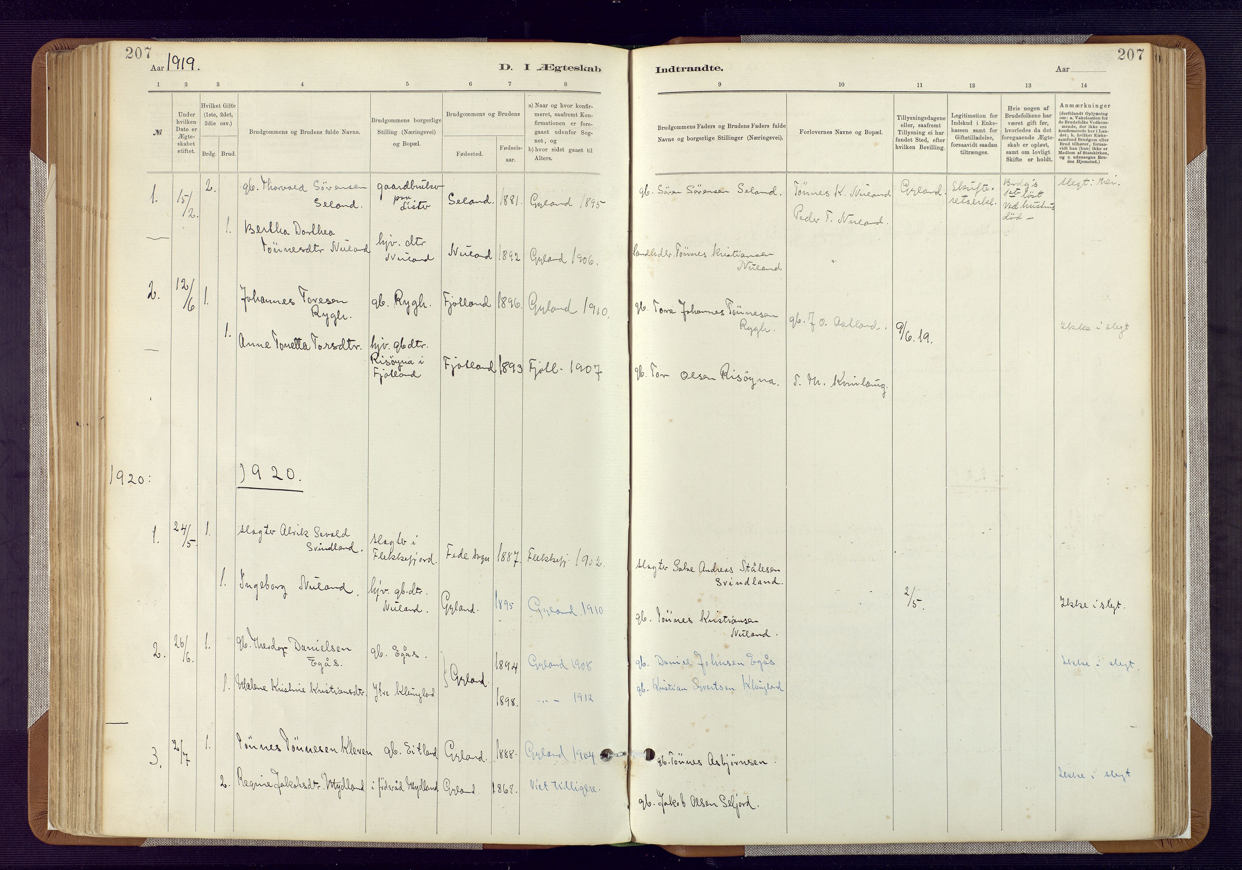 Bakke sokneprestkontor, SAK/1111-0002/F/Fa/Fab/L0003: Parish register (official) no. A 3, 1884-1921, p. 207