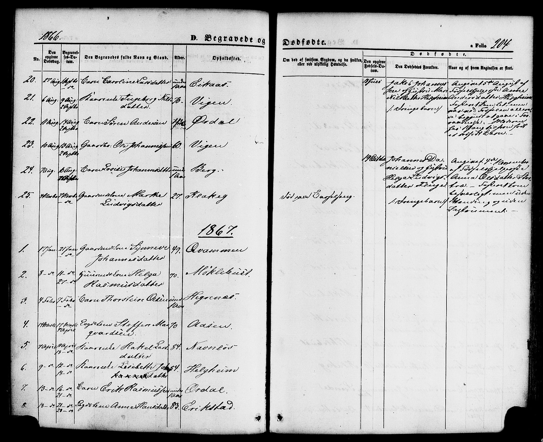 Jølster sokneprestembete, SAB/A-80701/H/Haa/Haaa/L0011: Parish register (official) no. A 11, 1866-1881, p. 204