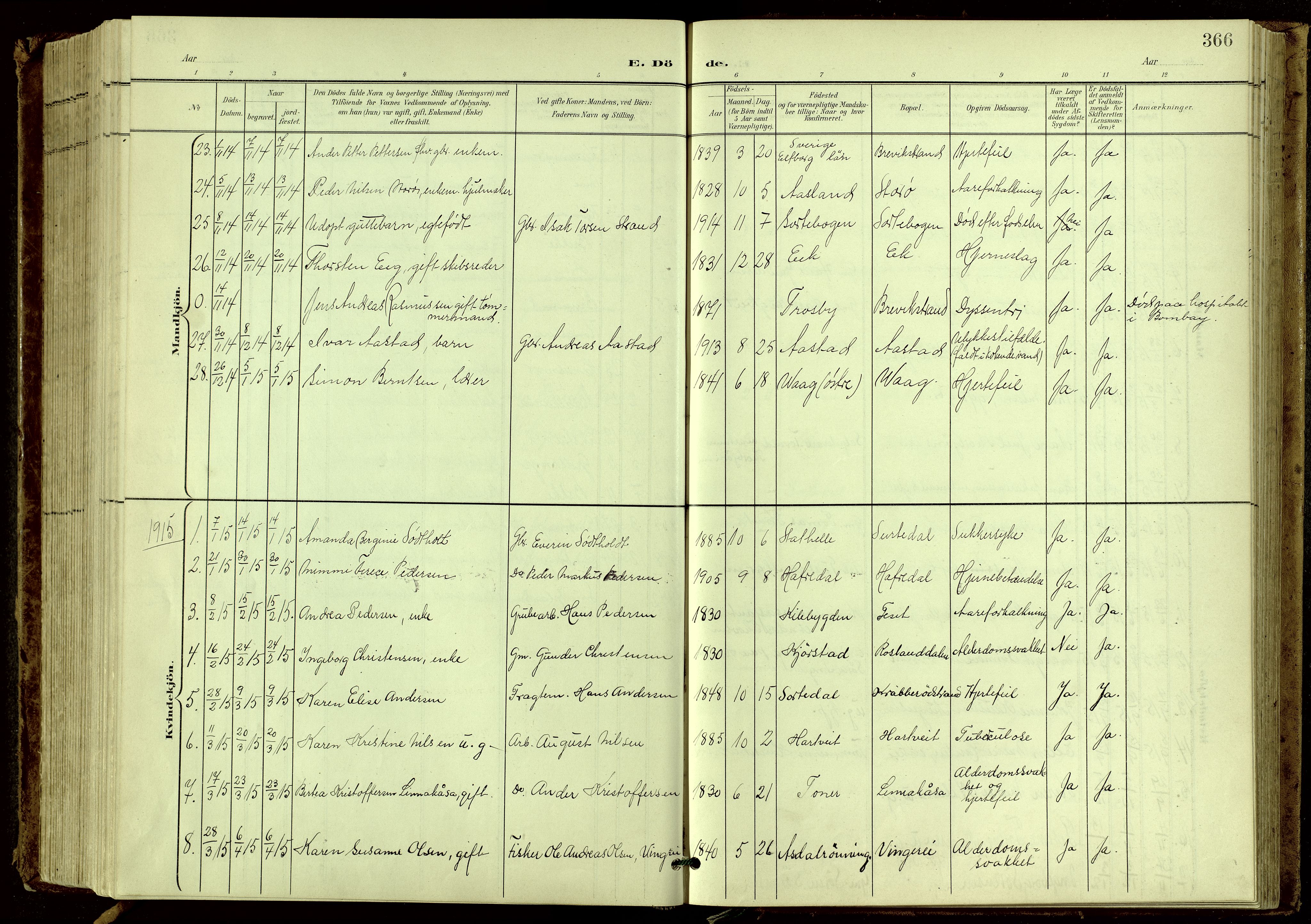 Bamble kirkebøker, SAKO/A-253/G/Ga/L0010: Parish register (copy) no. I 10, 1901-1919, p. 366