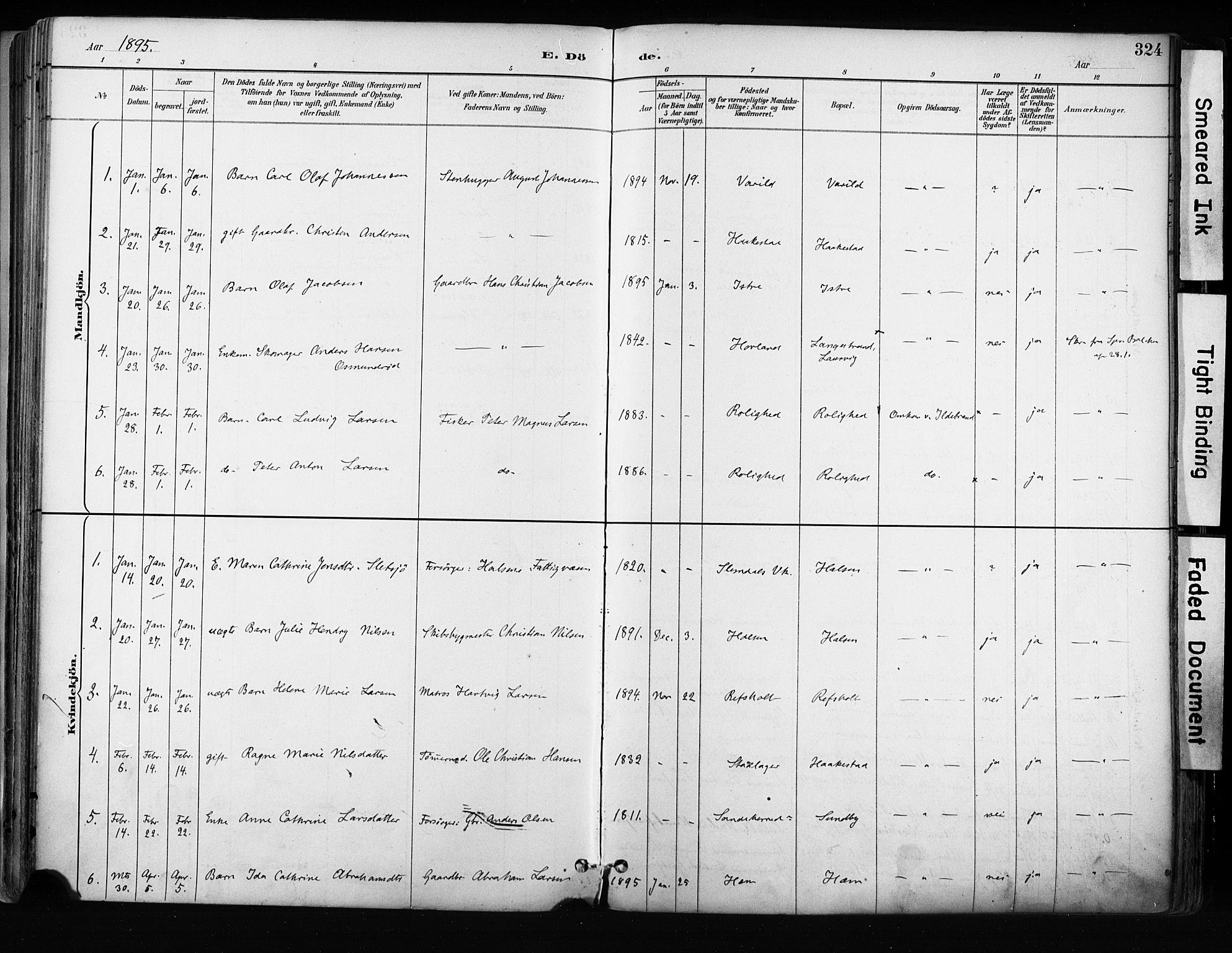 Tjølling kirkebøker, AV/SAKO-A-60/F/Fa/L0009: Parish register (official) no. 9, 1887-1905, p. 324