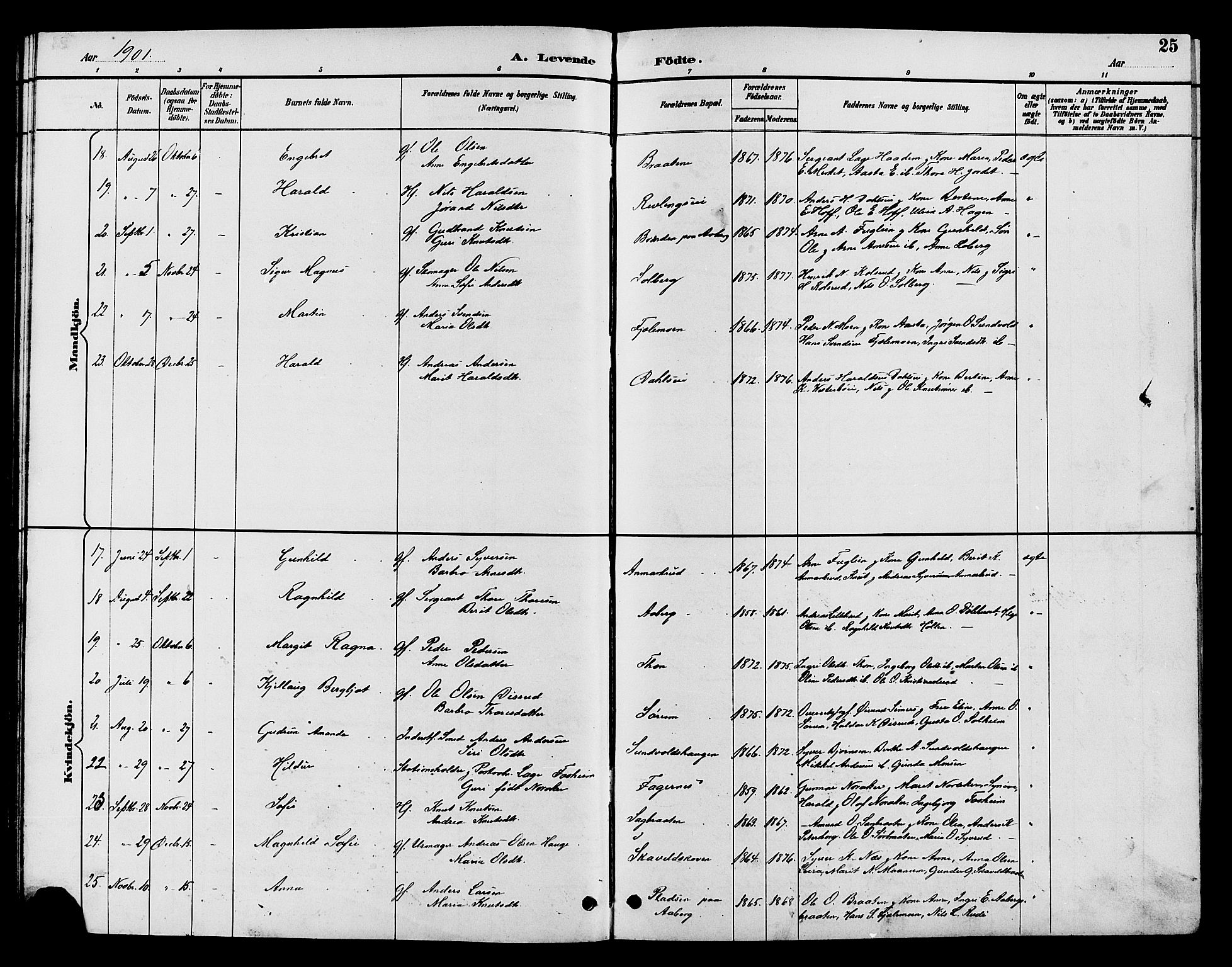 Nord-Aurdal prestekontor, SAH/PREST-132/H/Ha/Hab/L0010: Parish register (copy) no. 10, 1892-1907, p. 25