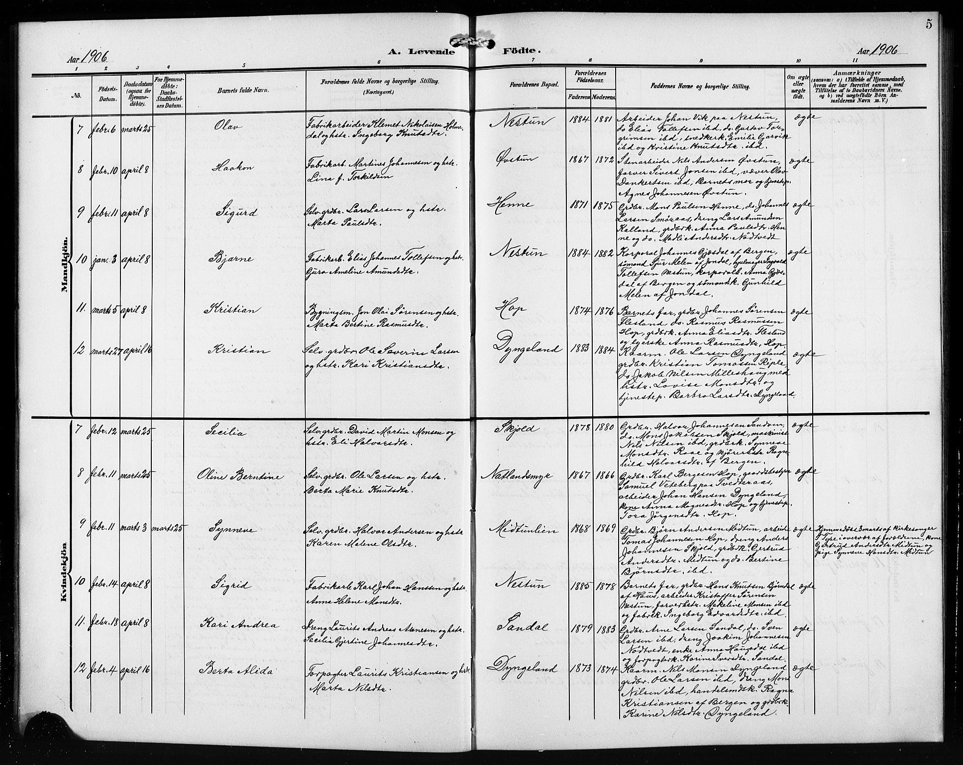 Birkeland Sokneprestembete, SAB/A-74601/H/Hab: Parish register (copy) no. A 6, 1906-1915, p. 5