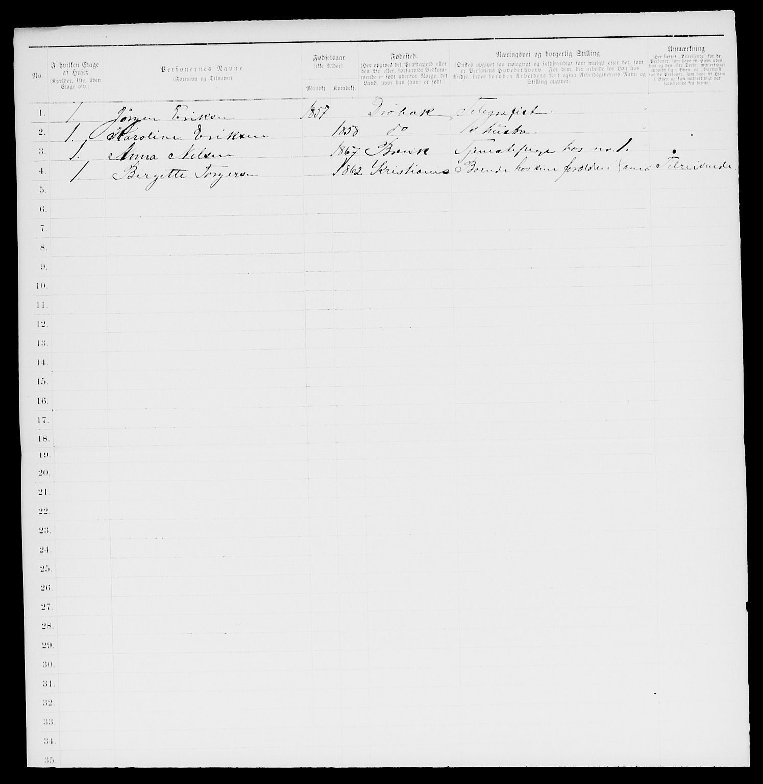 SAKO, 1885 census for 0804 Brevik, 1885, p. 696