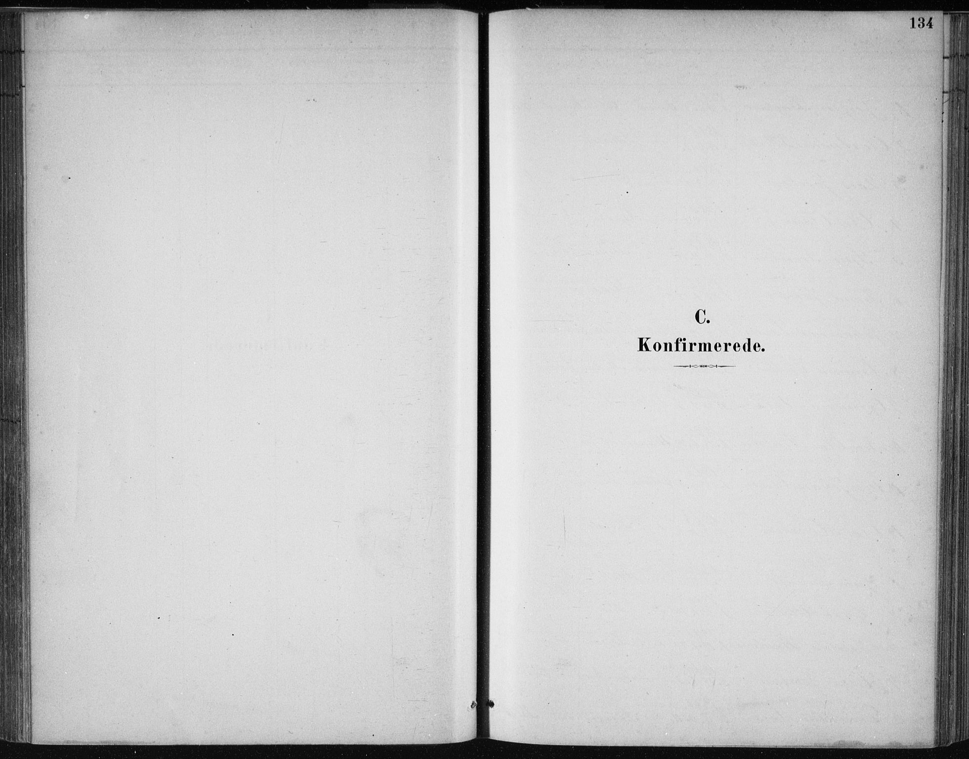 Kvam sokneprestembete, SAB/A-76201/H/Haa: Parish register (official) no. C  1, 1880-1906, p. 134
