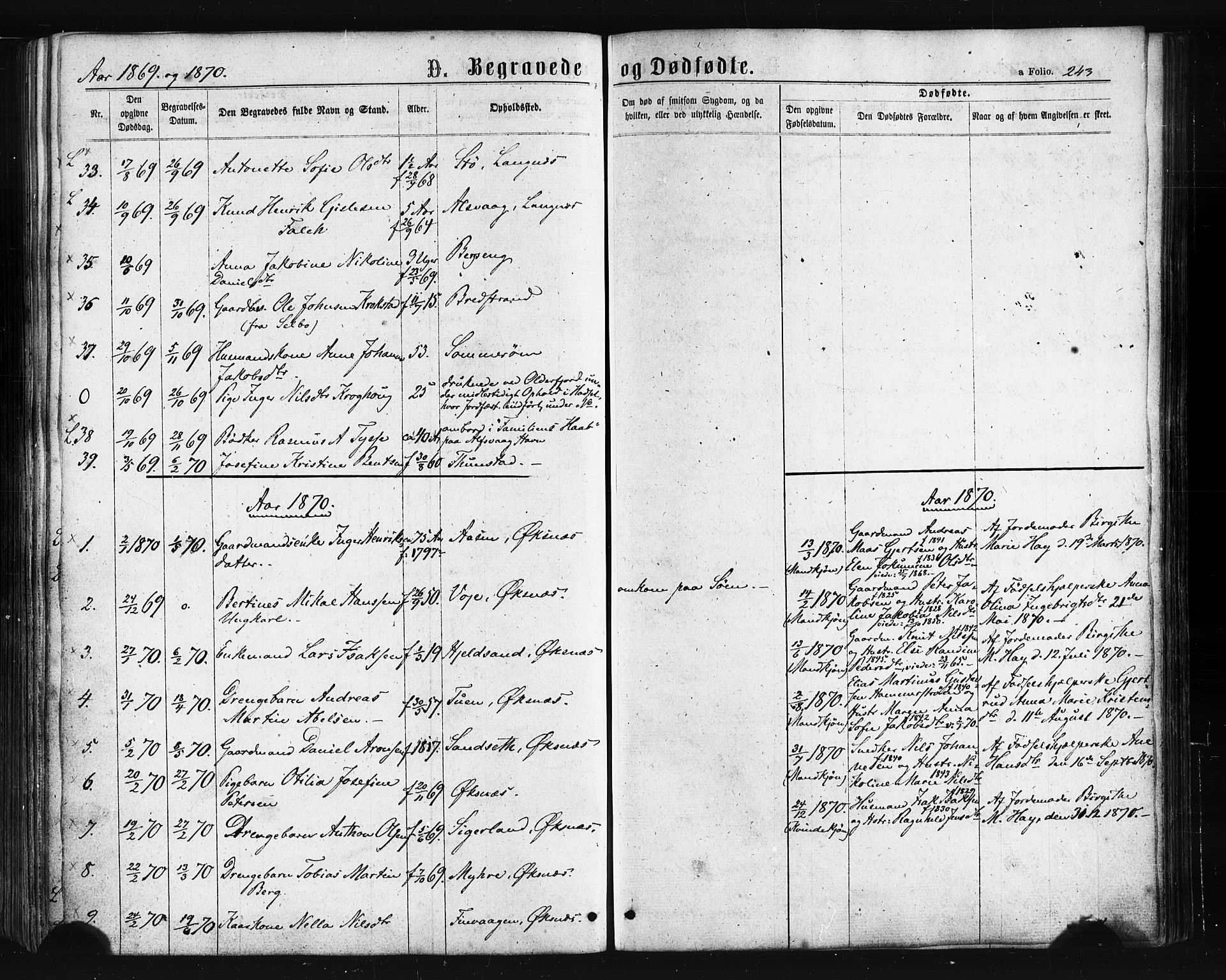 Ministerialprotokoller, klokkerbøker og fødselsregistre - Nordland, AV/SAT-A-1459/893/L1334: Parish register (official) no. 893A07, 1867-1877, p. 243