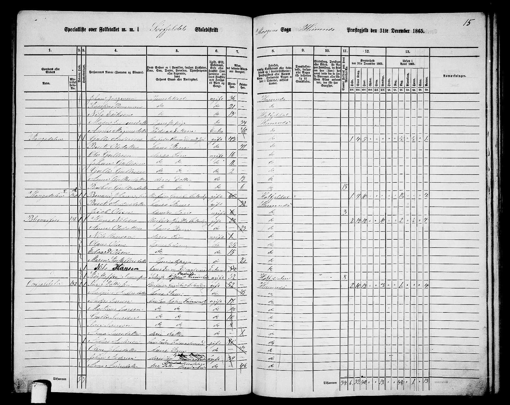 RA, 1865 census for Hemnes, 1865, p. 145