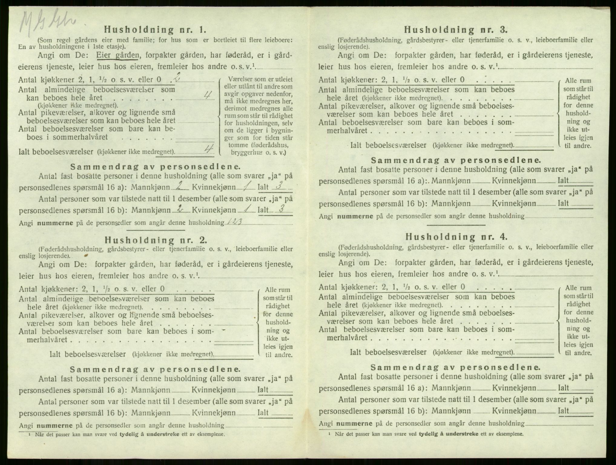 SAKO, 1920 census for Våle, 1920, p. 203