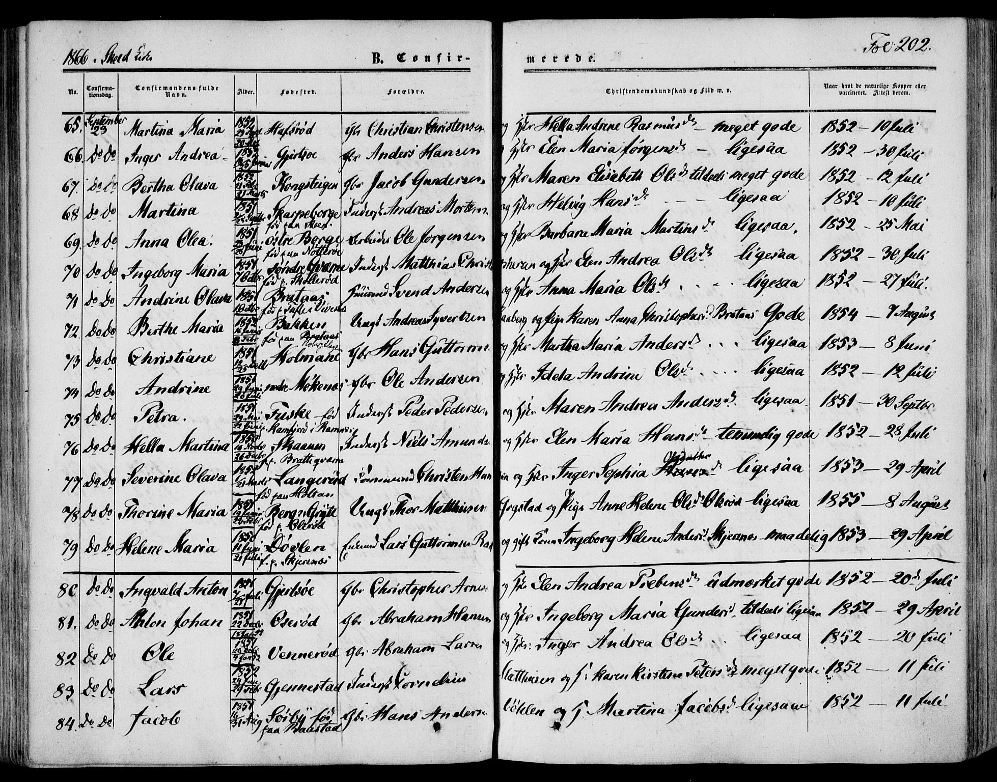 Stokke kirkebøker, AV/SAKO-A-320/F/Fa/L0008: Parish register (official) no. I 8, 1858-1871, p. 202