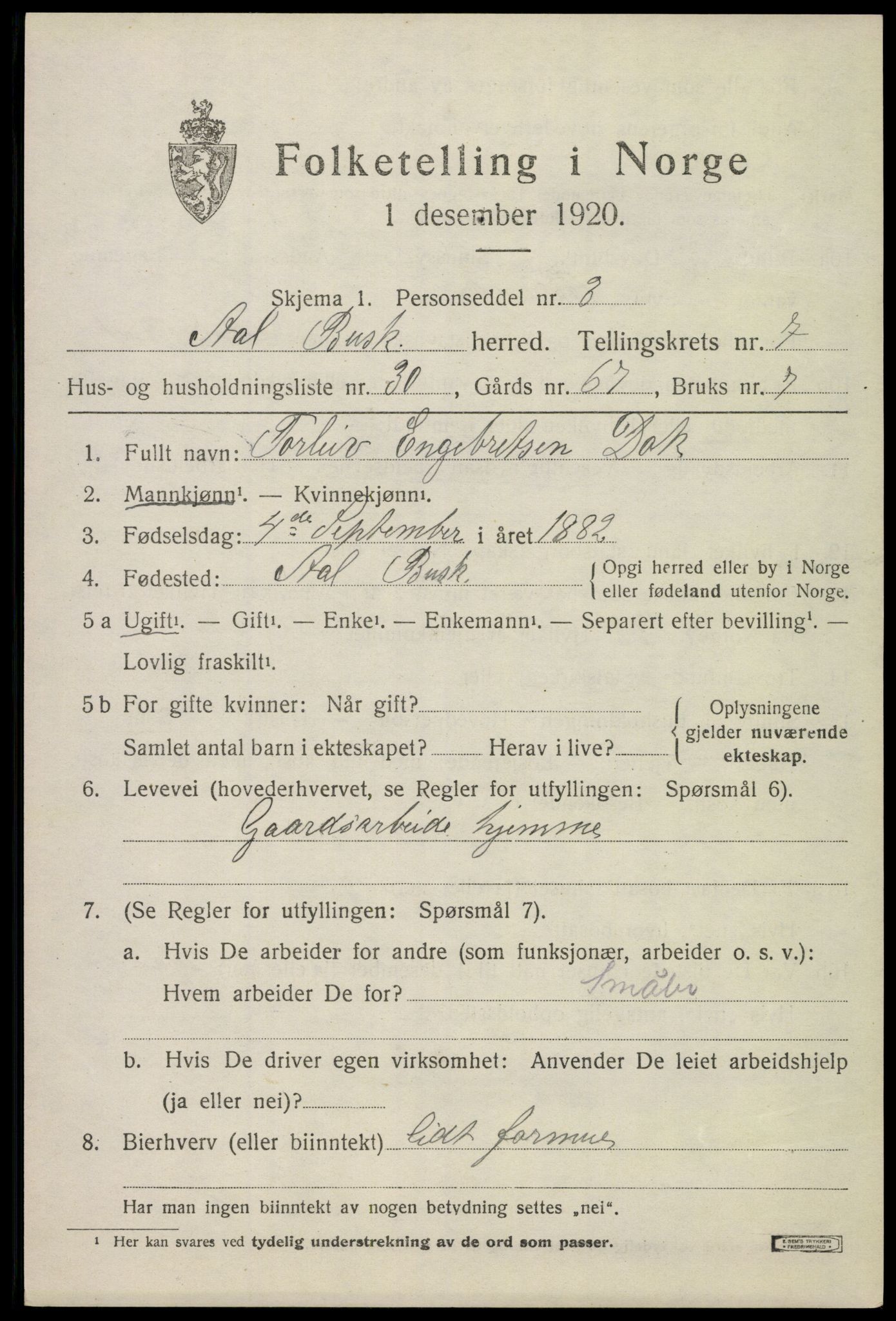 SAKO, 1920 census for Ål, 1920, p. 5114