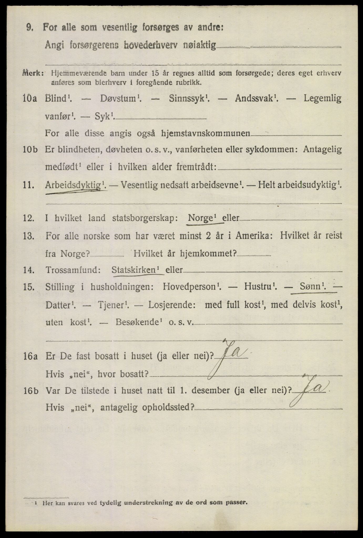 SAKO, 1920 census for Lier, 1920, p. 24809