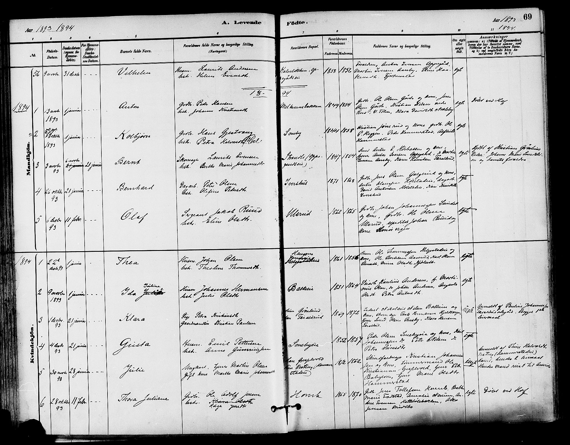 Østre Toten prestekontor, AV/SAH-PREST-104/H/Ha/Haa/L0007: Parish register (official) no. 7, 1881-1896, p. 69