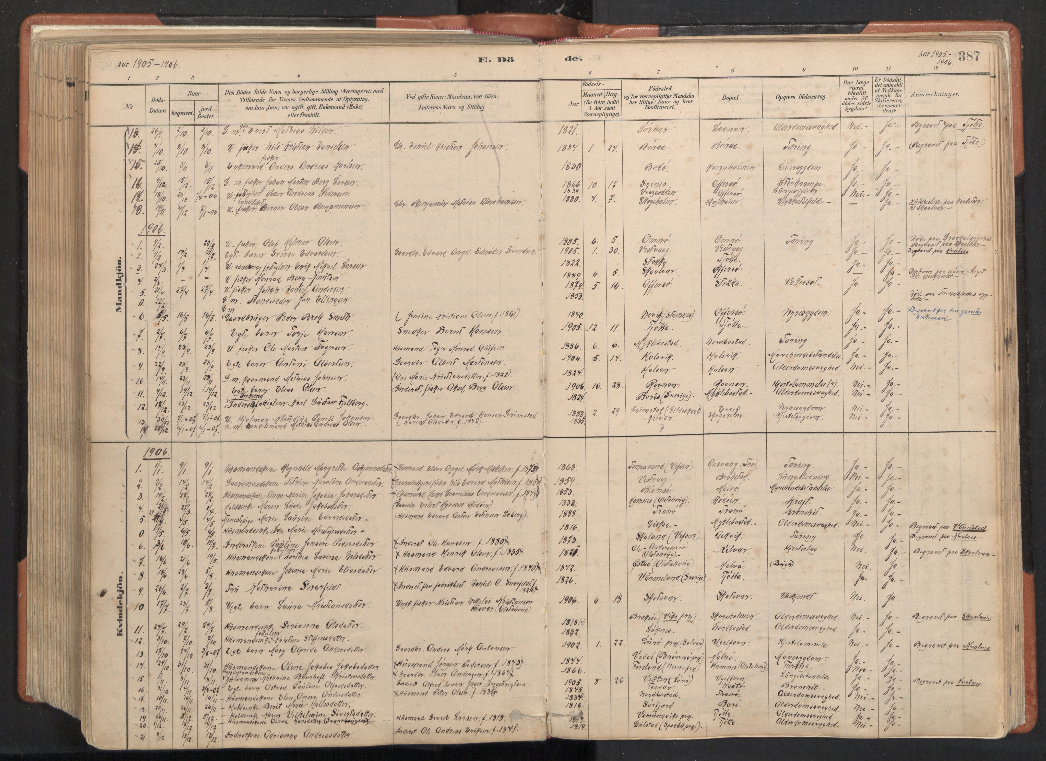 Ministerialprotokoller, klokkerbøker og fødselsregistre - Nordland, SAT/A-1459/817/L0264: Parish register (official) no. 817A04, 1878-1907, p. 387