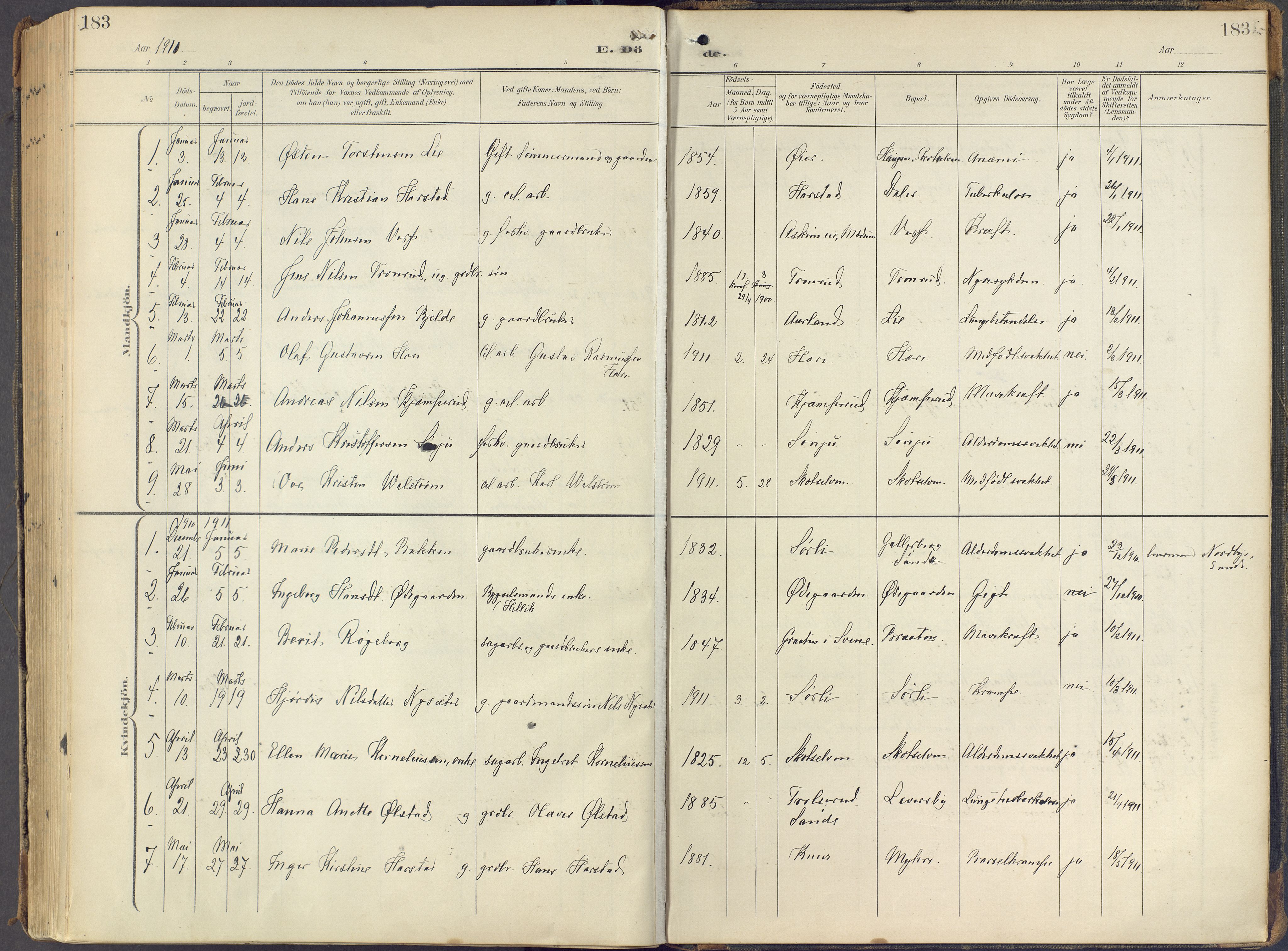 Eiker kirkebøker, AV/SAKO-A-4/F/Fc/L0004: Parish register (official) no. III 4, 1900-1919, p. 183