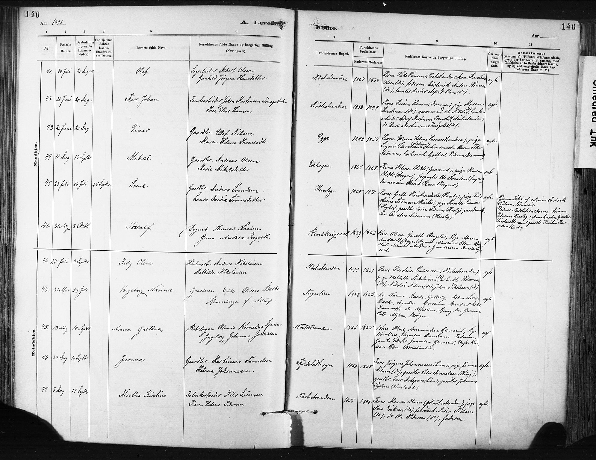 Lier kirkebøker, AV/SAKO-A-230/F/Fa/L0015: Parish register (official) no. I 15, 1883-1894, p. 146