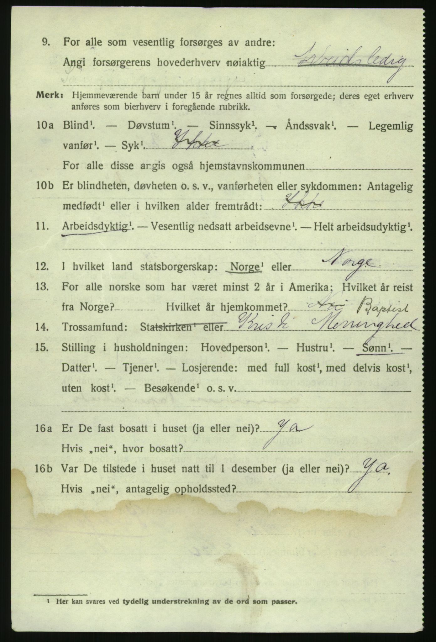 RA, 1920 census: Additional forms, 1920, p. 4