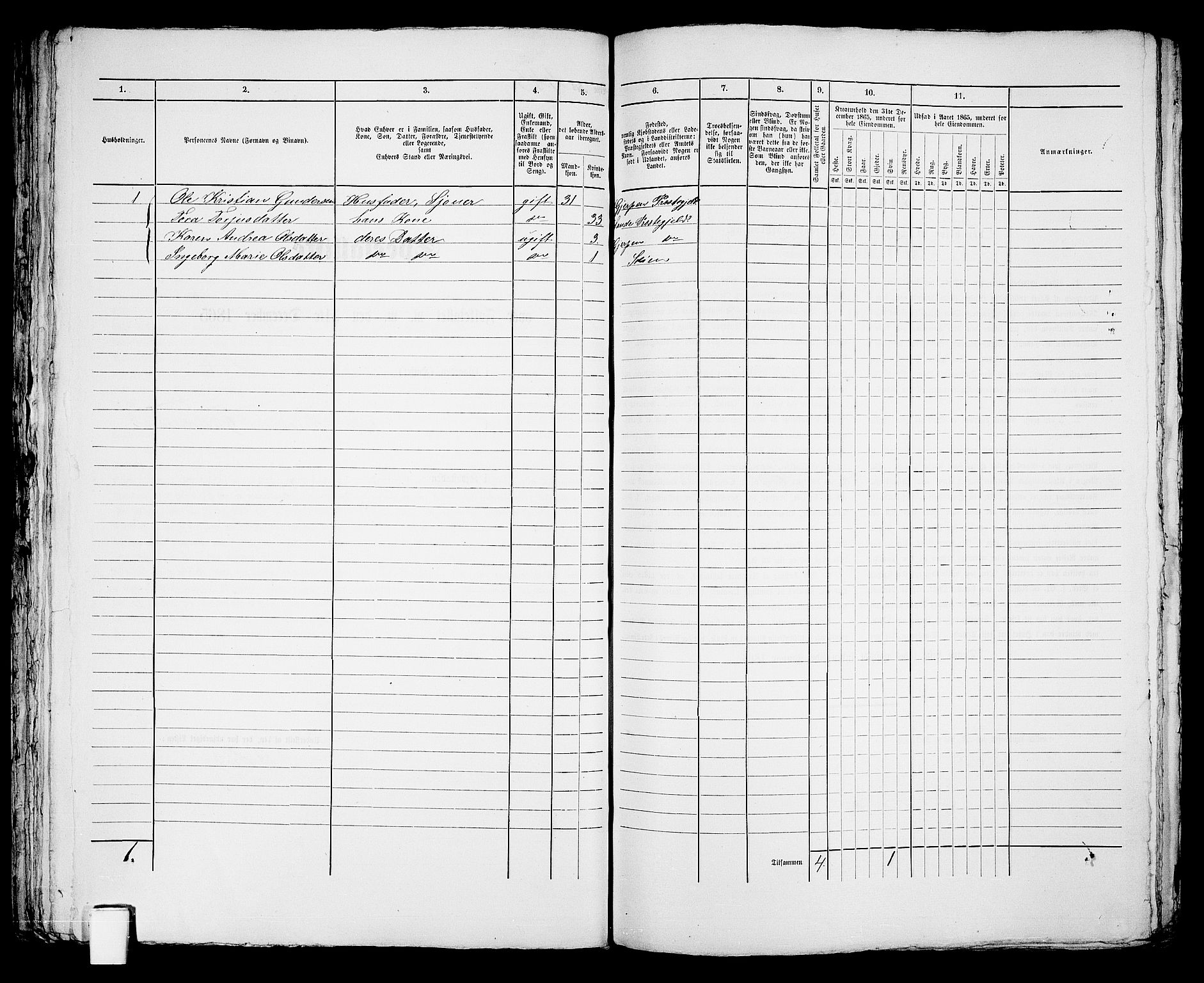 RA, 1865 census for Skien, 1865, p. 916