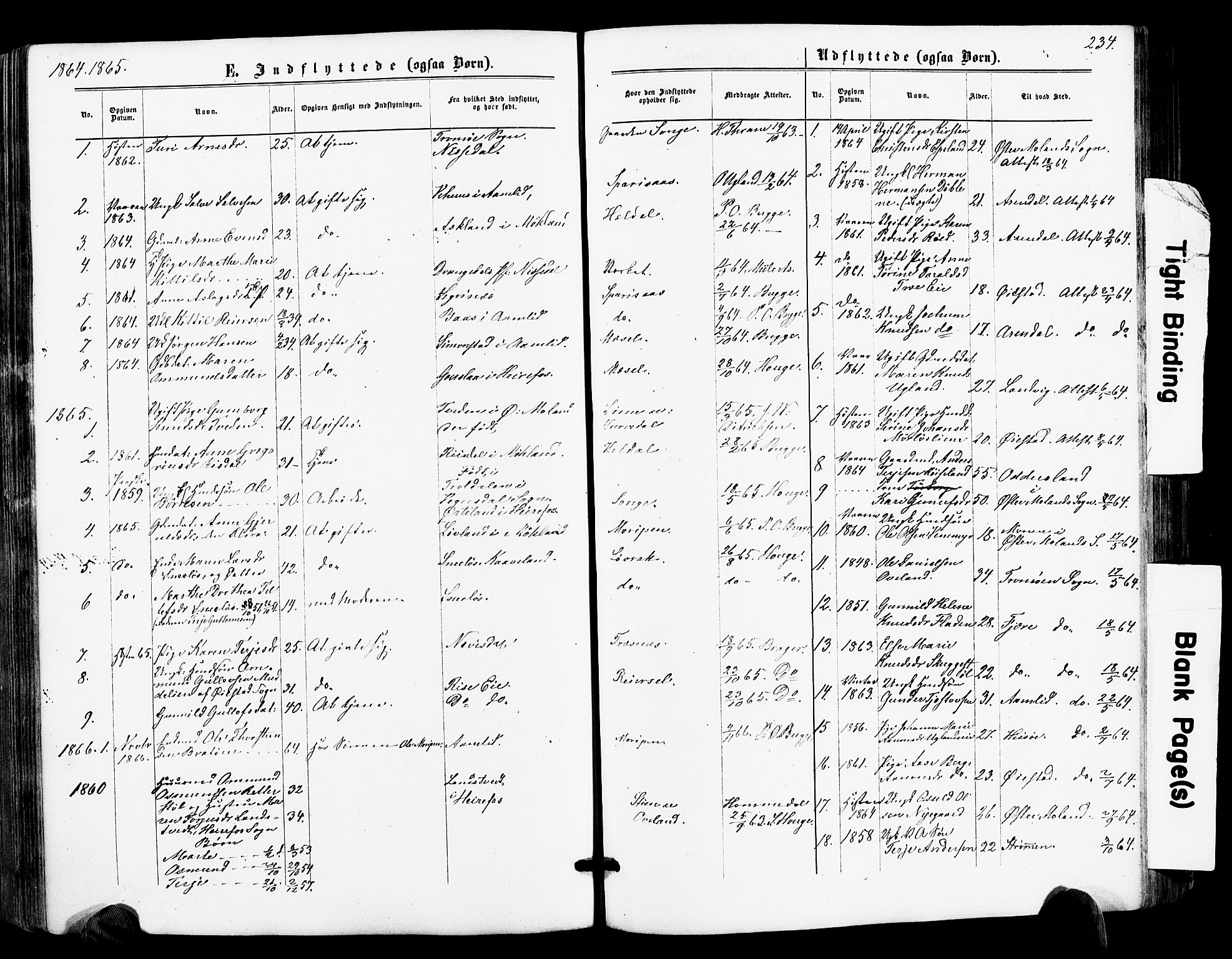 Froland sokneprestkontor, SAK/1111-0013/F/Fa/L0003: Parish register (official) no. A 3, 1864-1881, p. 234