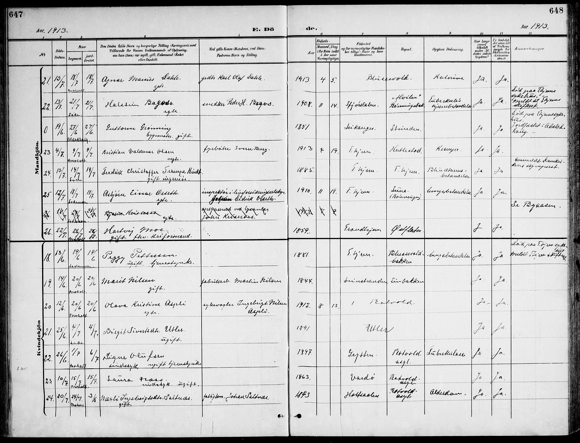 Ministerialprotokoller, klokkerbøker og fødselsregistre - Sør-Trøndelag, AV/SAT-A-1456/607/L0320: Parish register (official) no. 607A04, 1907-1915, p. 647-648