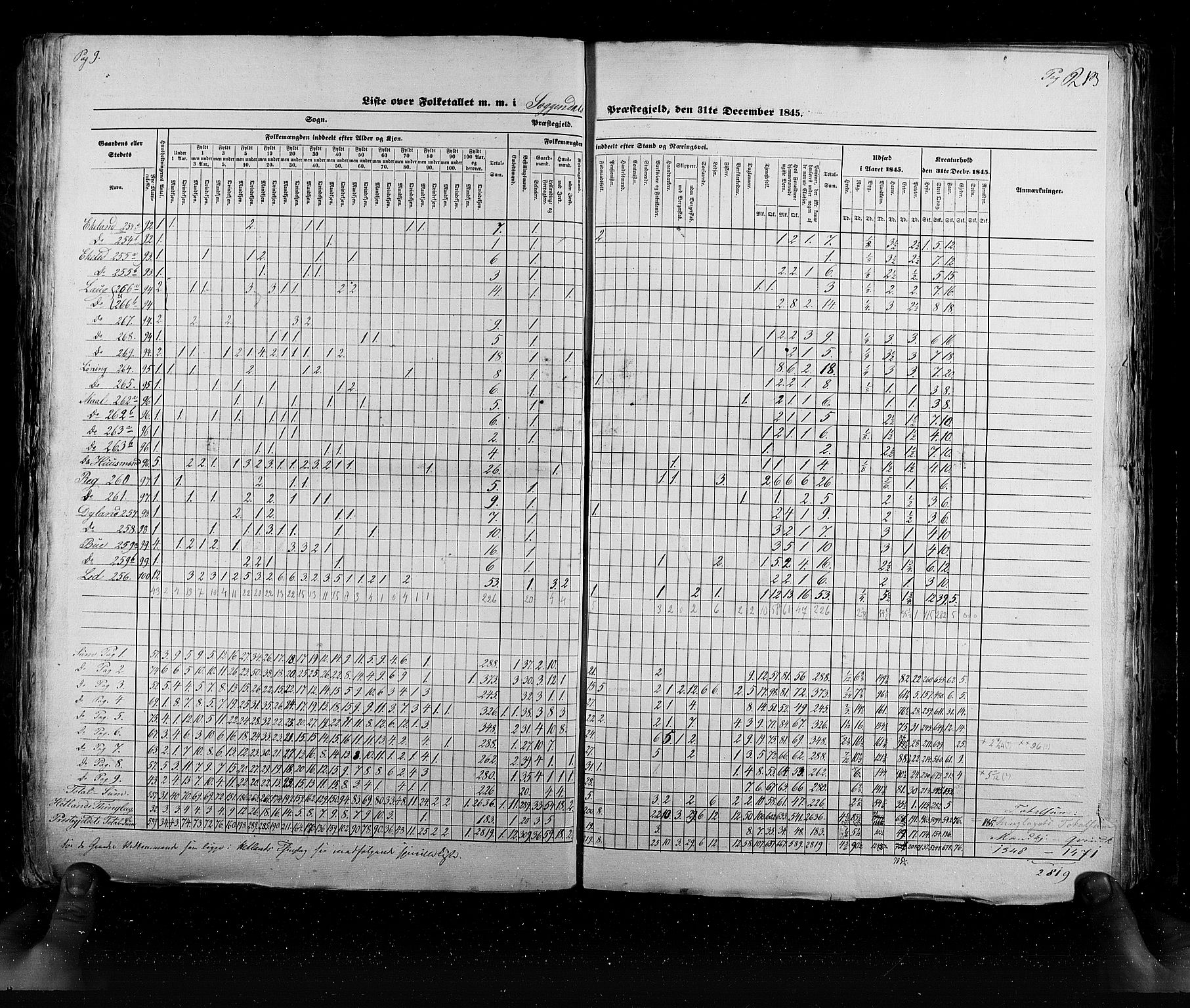 RA, Census 1845, vol. 6: Lister og Mandal amt og Stavanger amt, 1845, p. 213