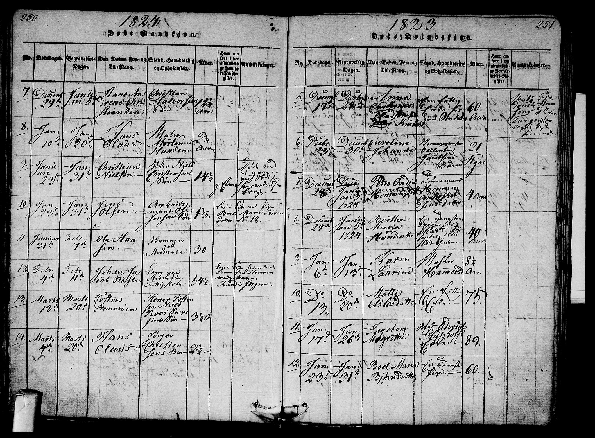 Strømsø kirkebøker, AV/SAKO-A-246/G/Ga/L0001: Parish register (copy) no. 1, 1815-1829, p. 250-251